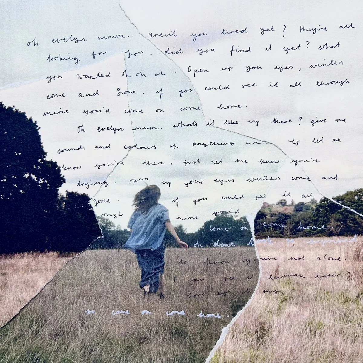 Lexie Carroll - evelyn