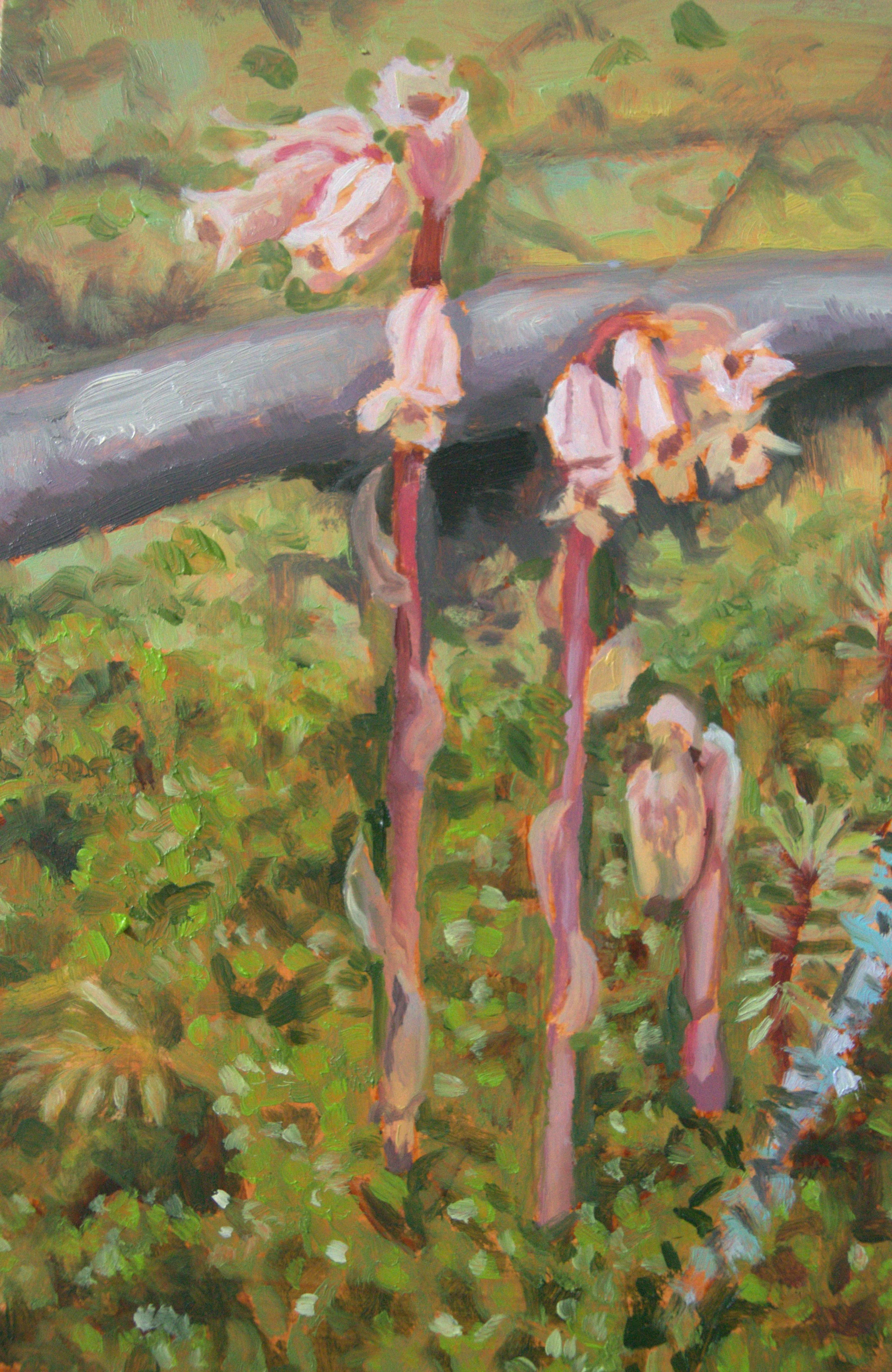 Ghostpipes #2 (lookout), 2025, oil on cradled hardboard panel, 4" x 6"