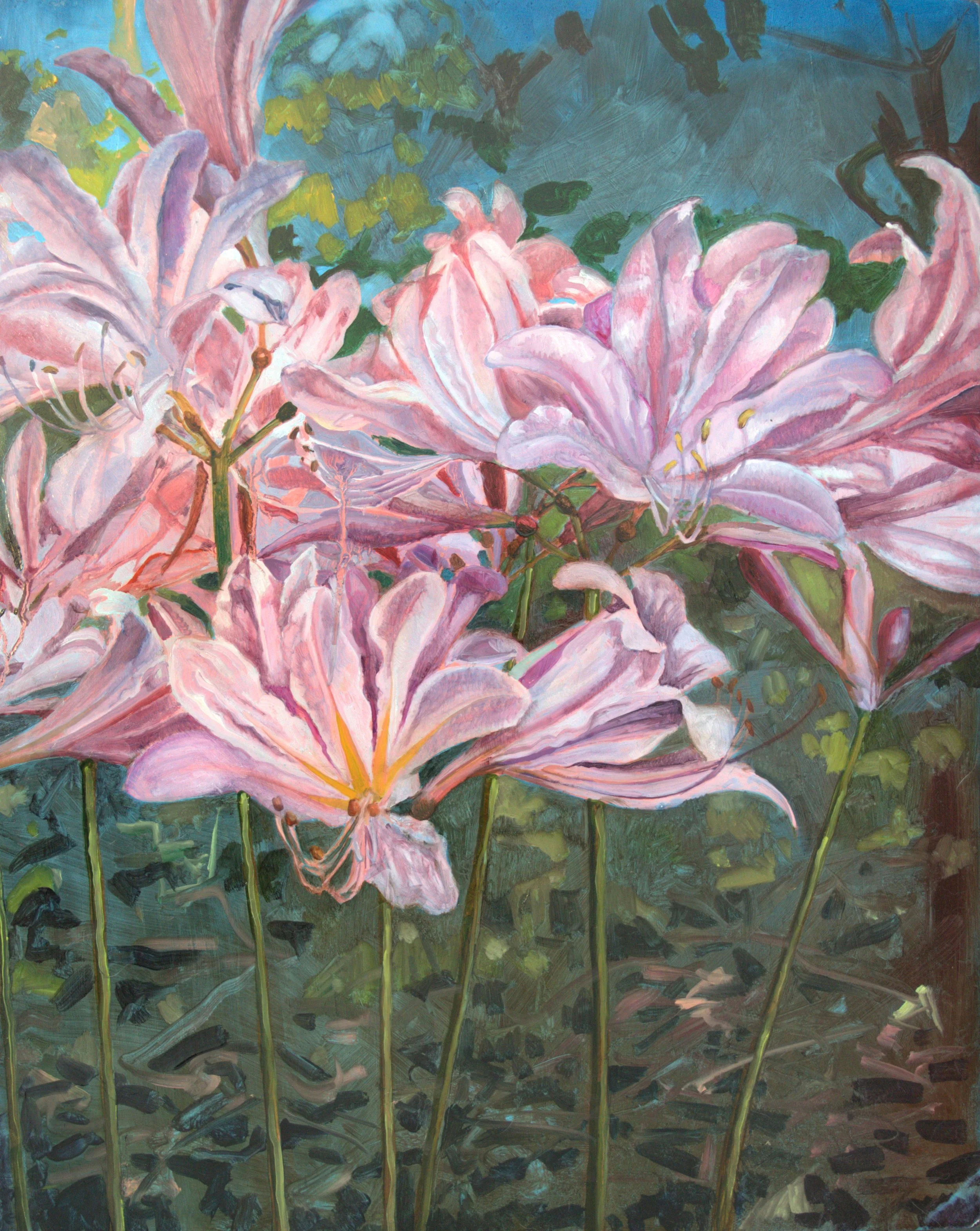 Naked Lady Lilies, 2025, oil on panel, 16" x 20"