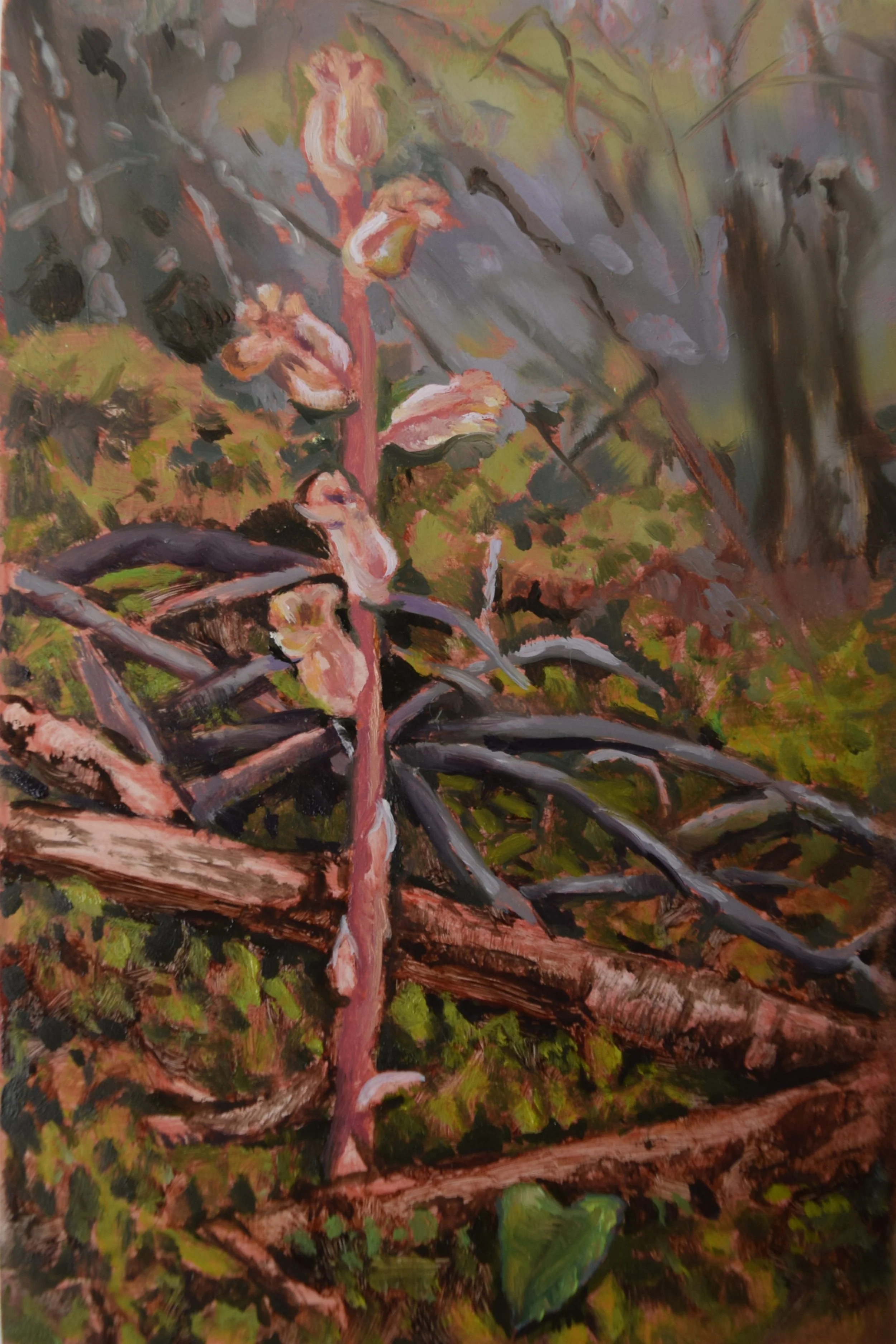 Forest Floor Study #2 (love letter), 2025, oil on panel, 4" x 6"