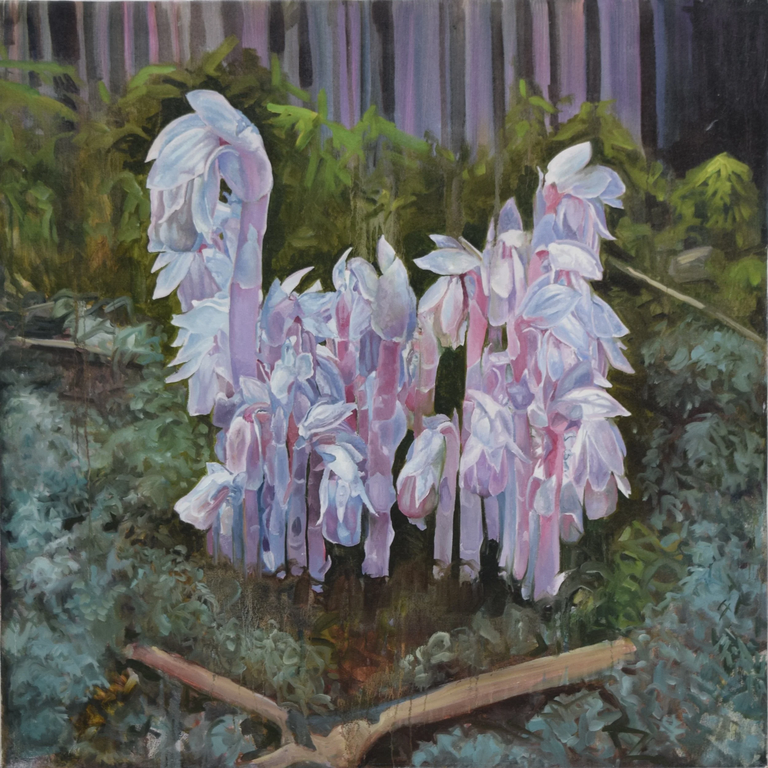 Ghost Pipes (Emerge), 2023, oil on canvas, 40" x 40"