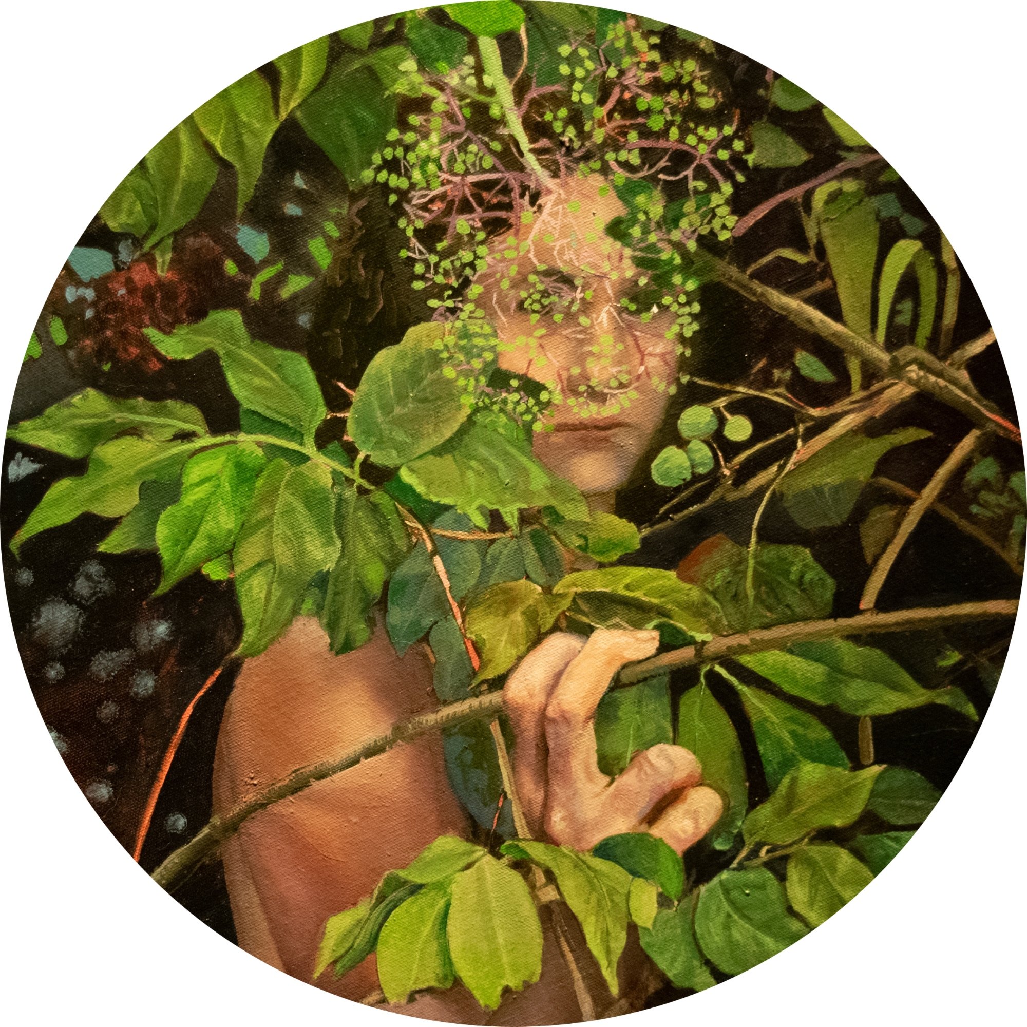 Elderflower, 2023, oil on canvas, 16" diameter