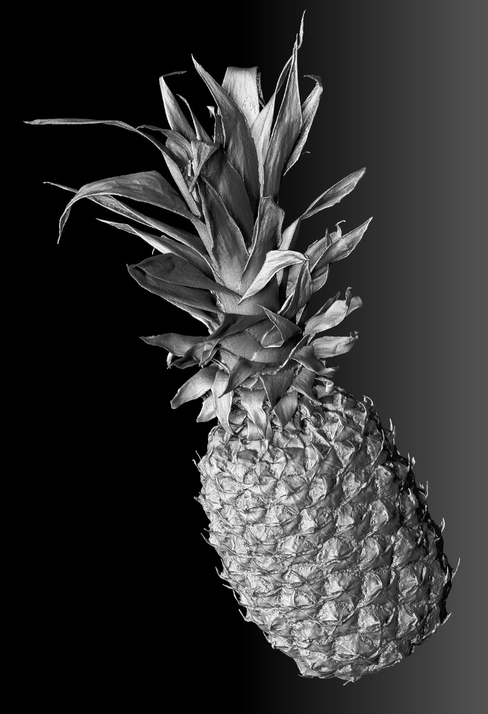 Pinapple_01_Grey.jpg
