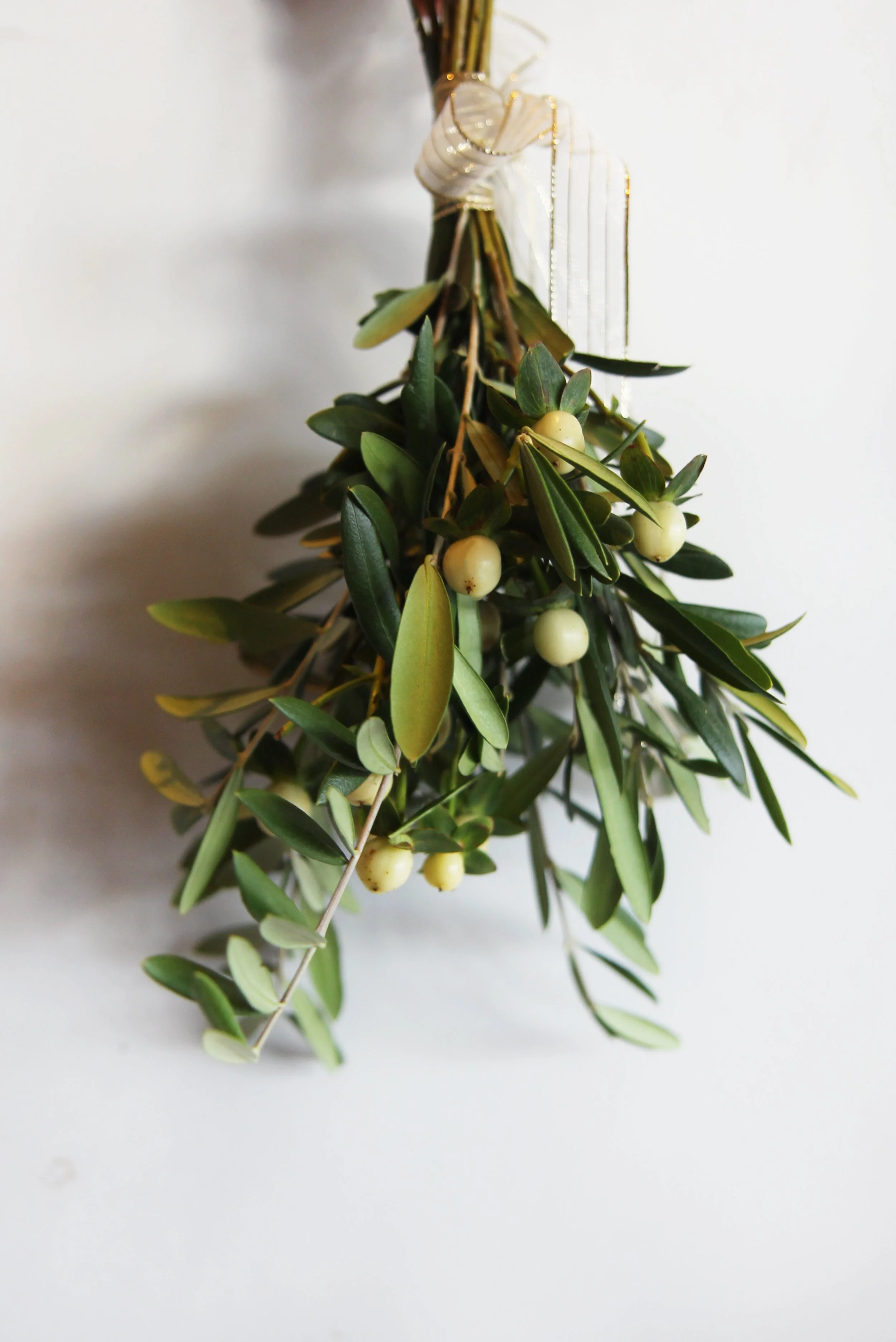 mistletoe.jpg