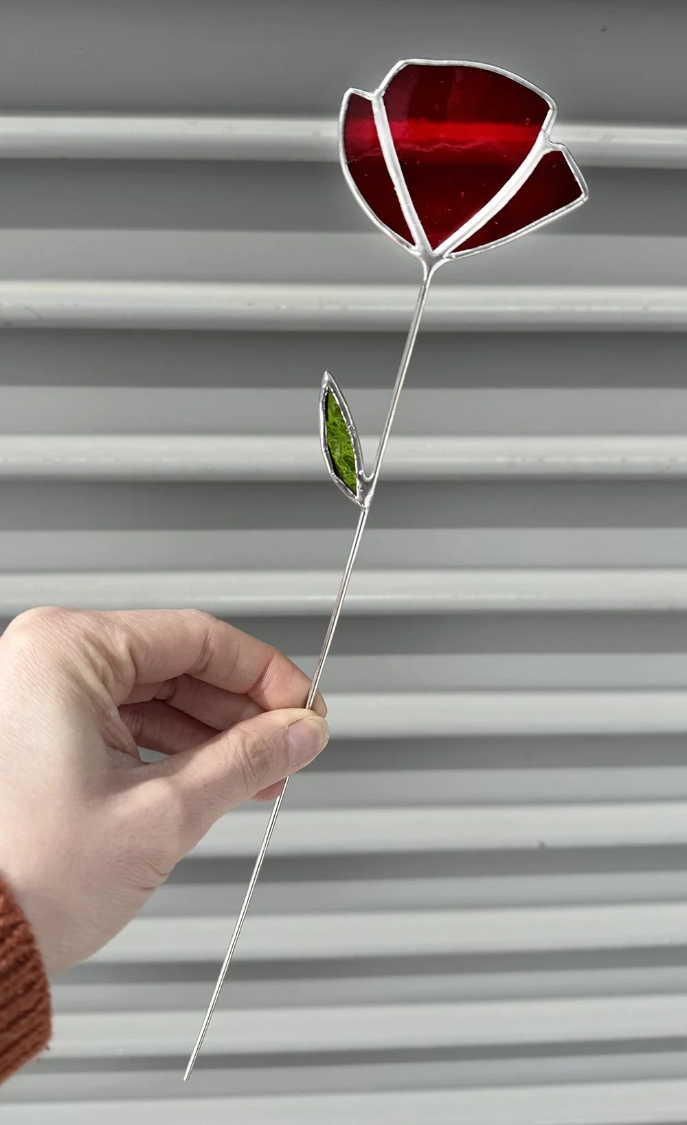 redrose.jpg