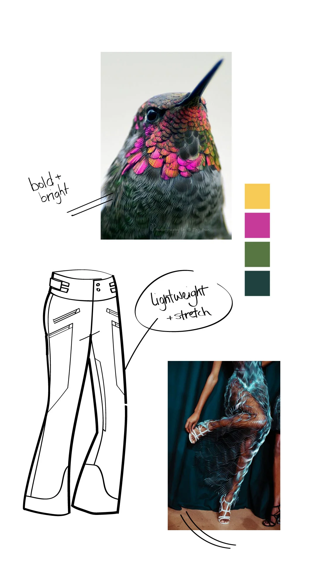 pants.jpg