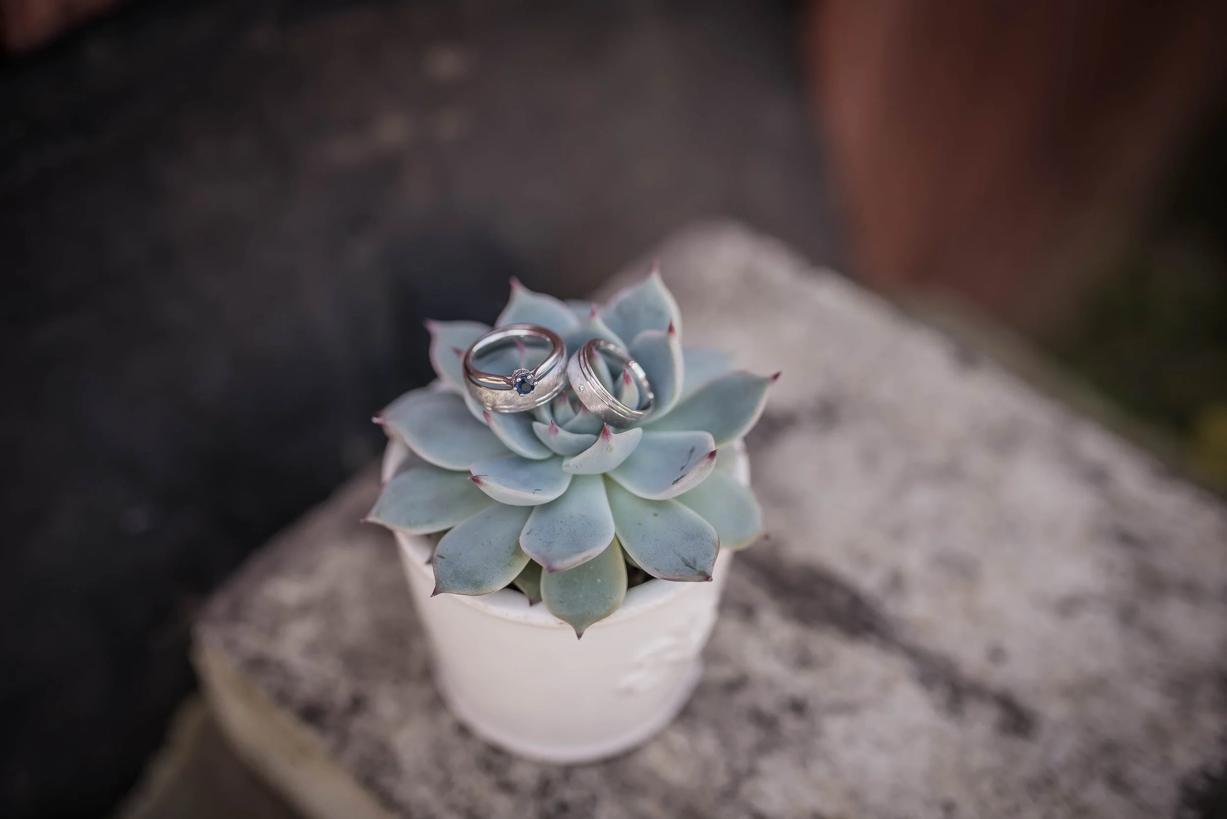 Photo by Artsy Vibes on Unsplash