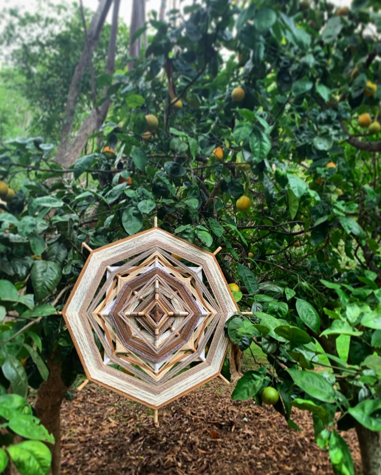 CB3B71CF-0A22-475E-B64B-BDECA3DE912E