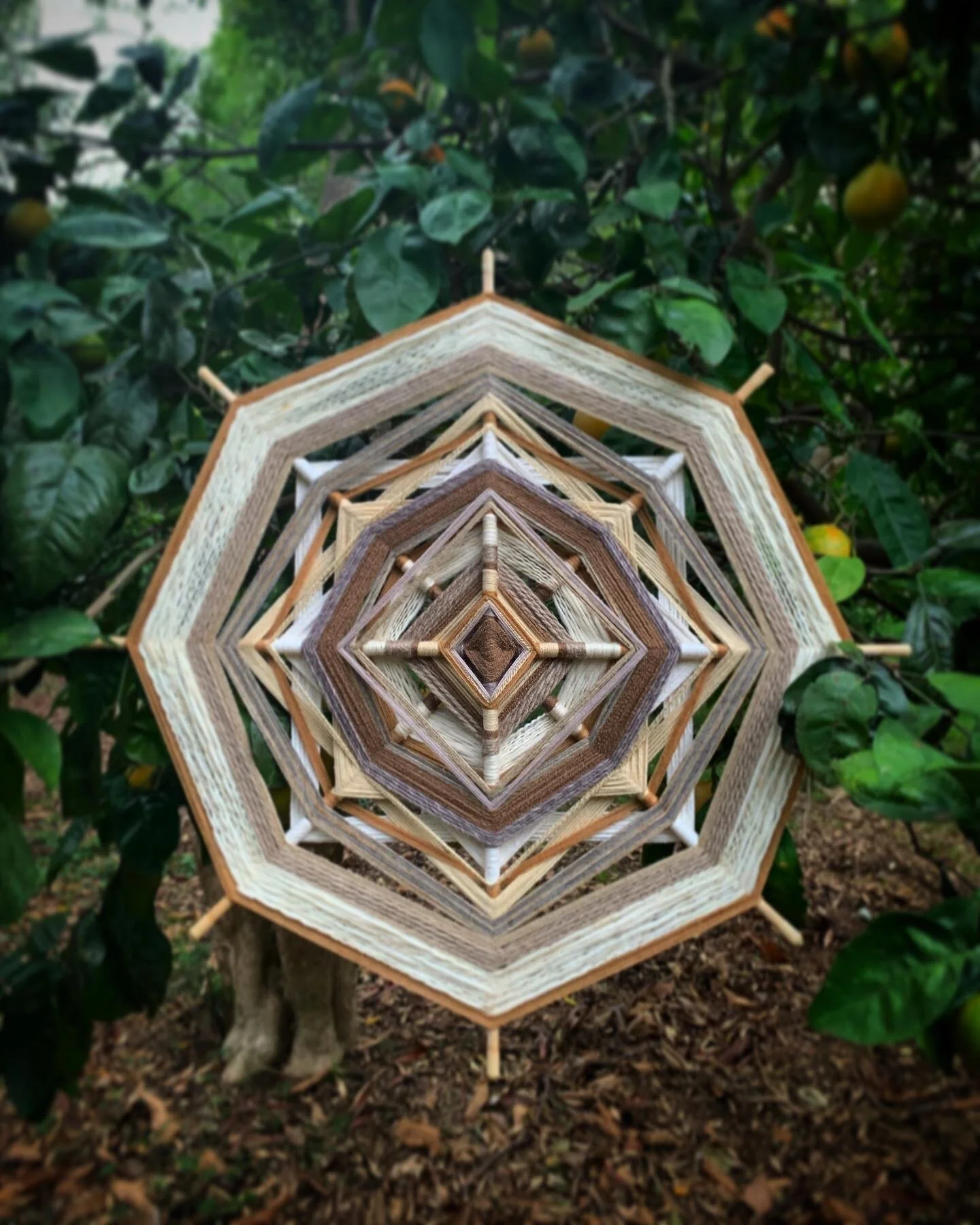 295A7112-B43A-4514-A706-8025E37A4C94