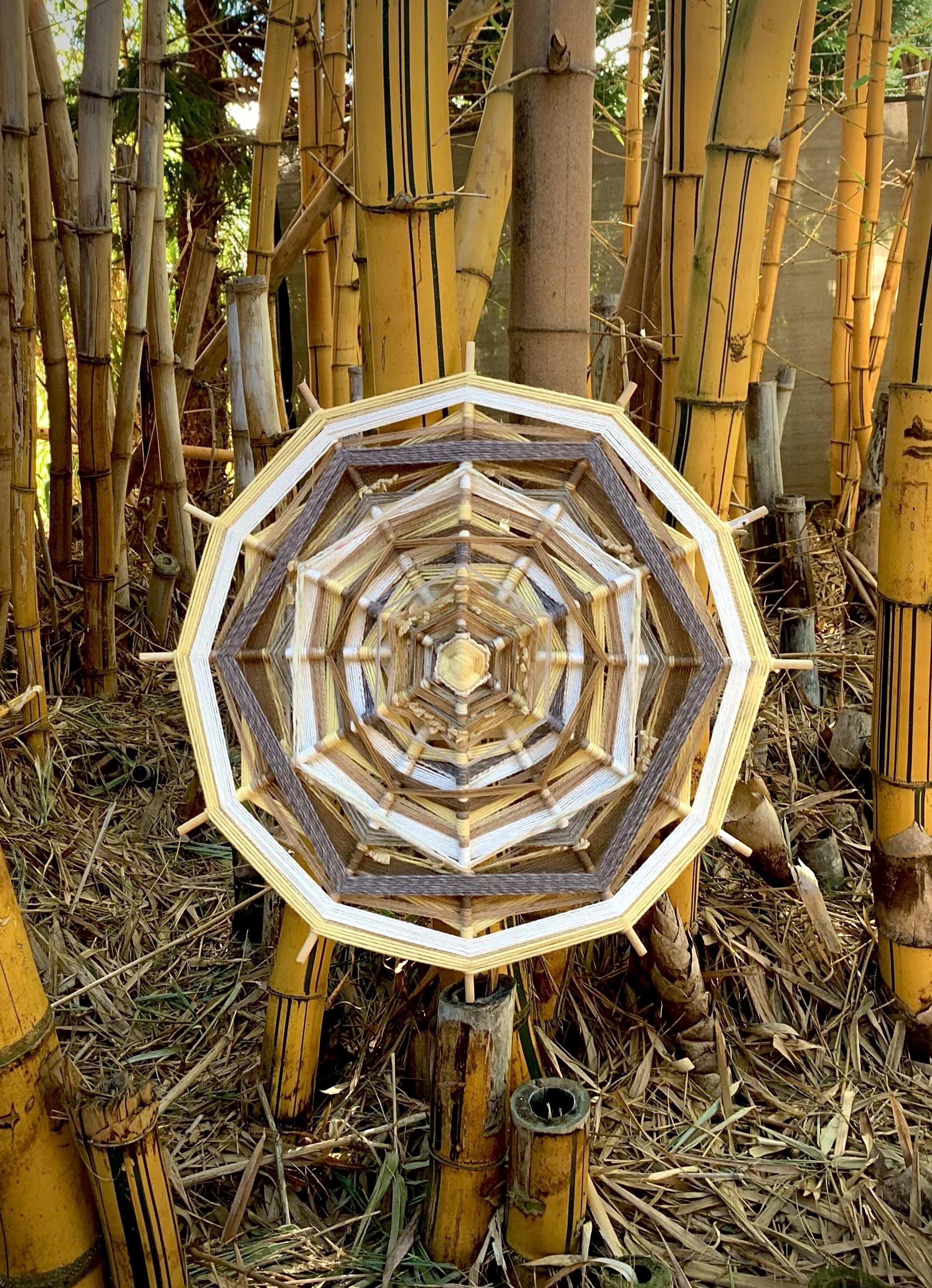 097AA53A-1C79-4112-BA24-108E76405655