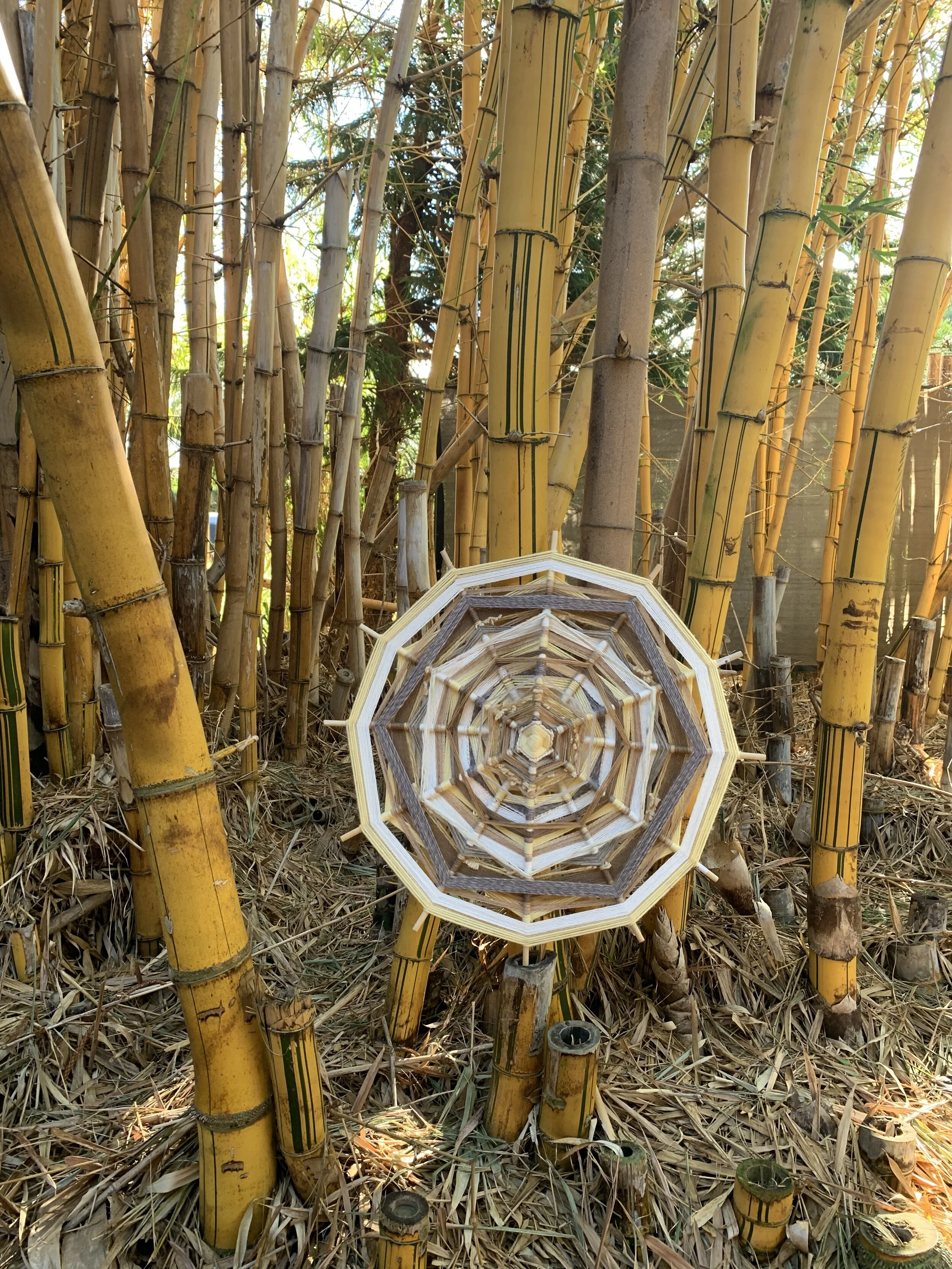 6A425A31-5052-4A62-9C99-A4DA547EC32C