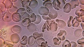 FundaMorgan - Los mensajes