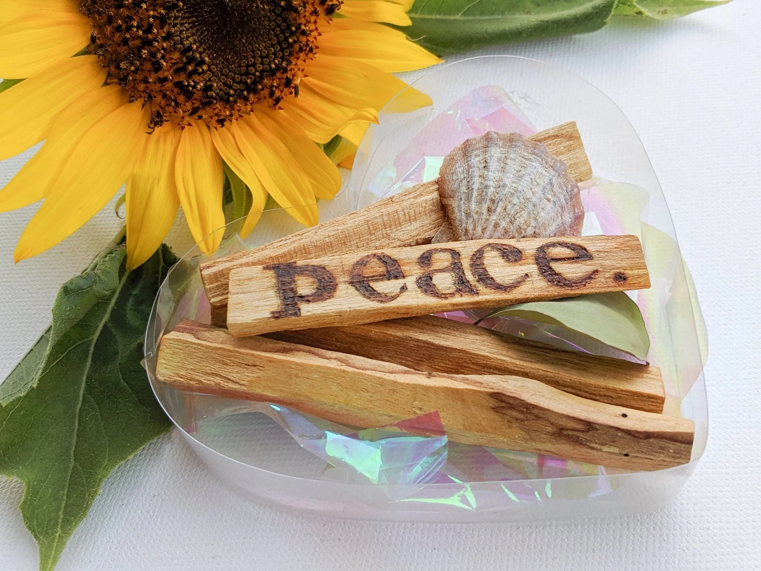 7FF1EE3E-9F64-4F18-89ED-87C0C5928400