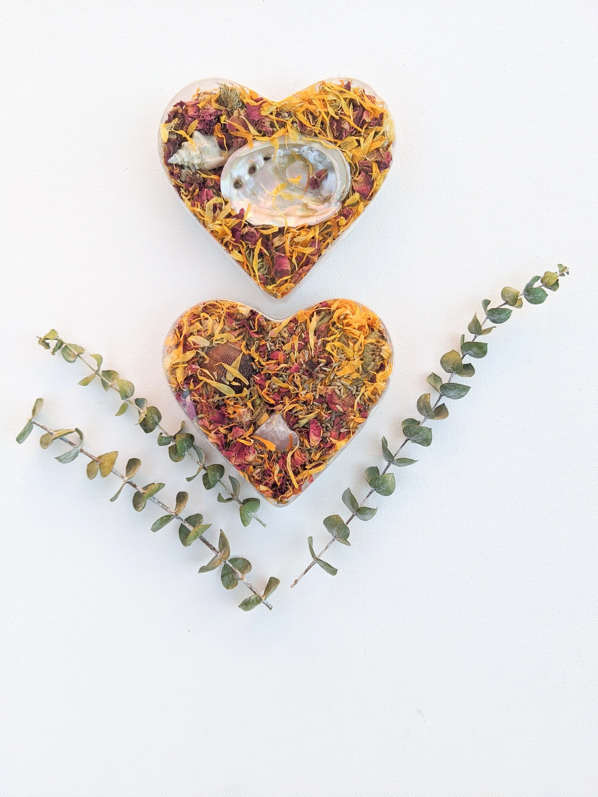 F0F2C470-F467-42DA-8DF0-FECD03EA798B