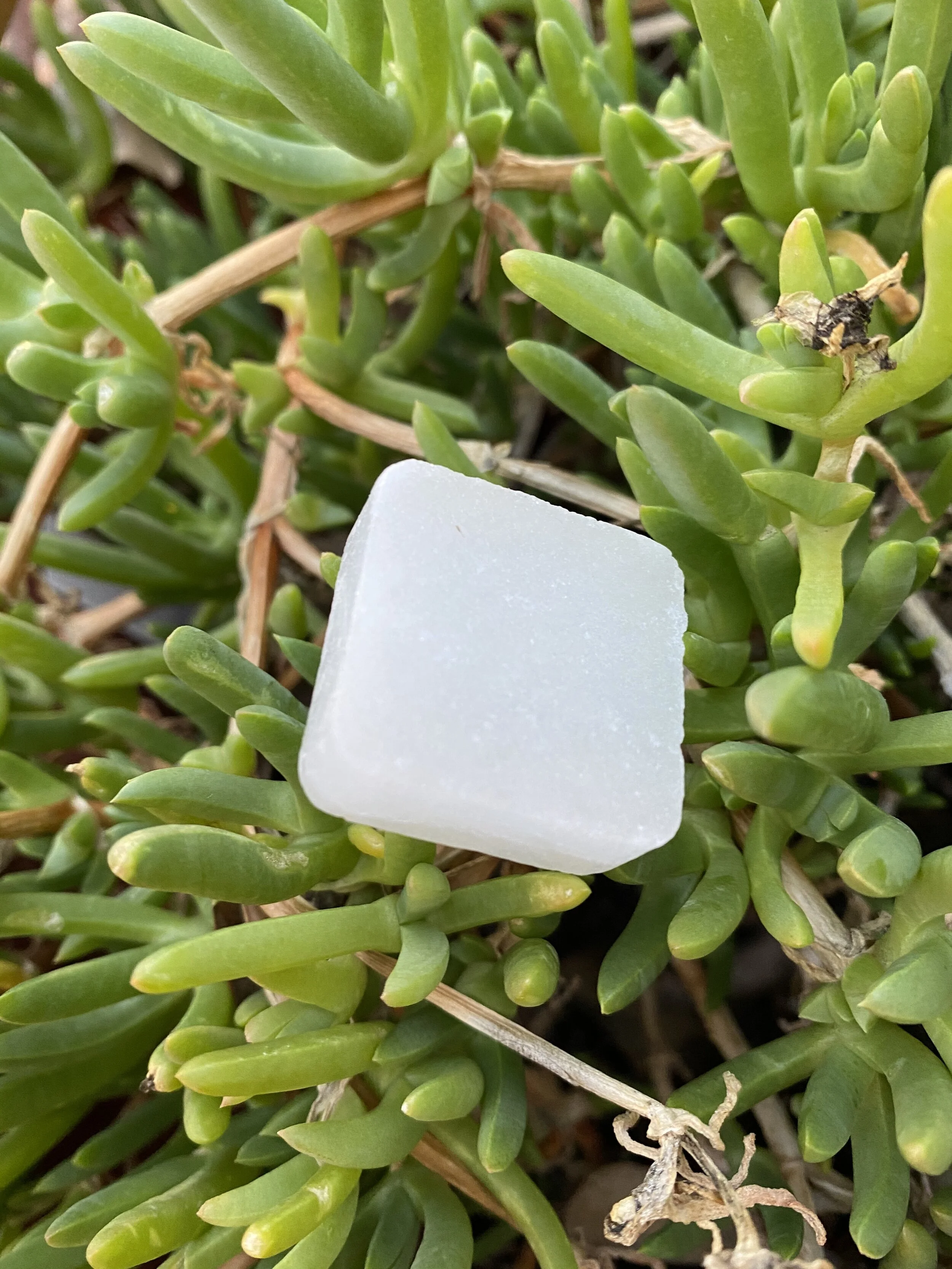 7A91683B-7E88-45F2-BCC1-3FA39581703A