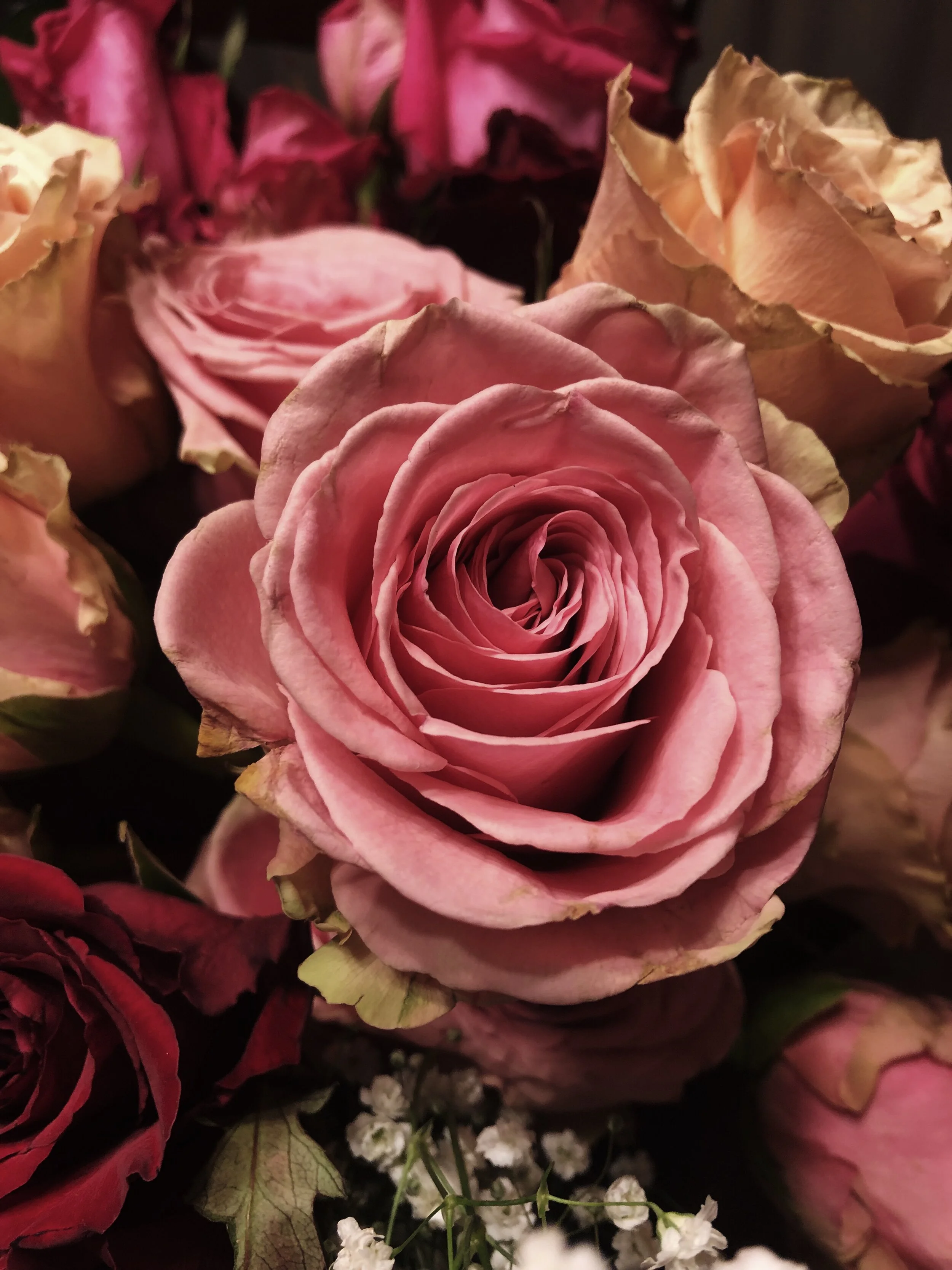 EC7147A3-33BB-429C-9A15-FAF4C396FC80