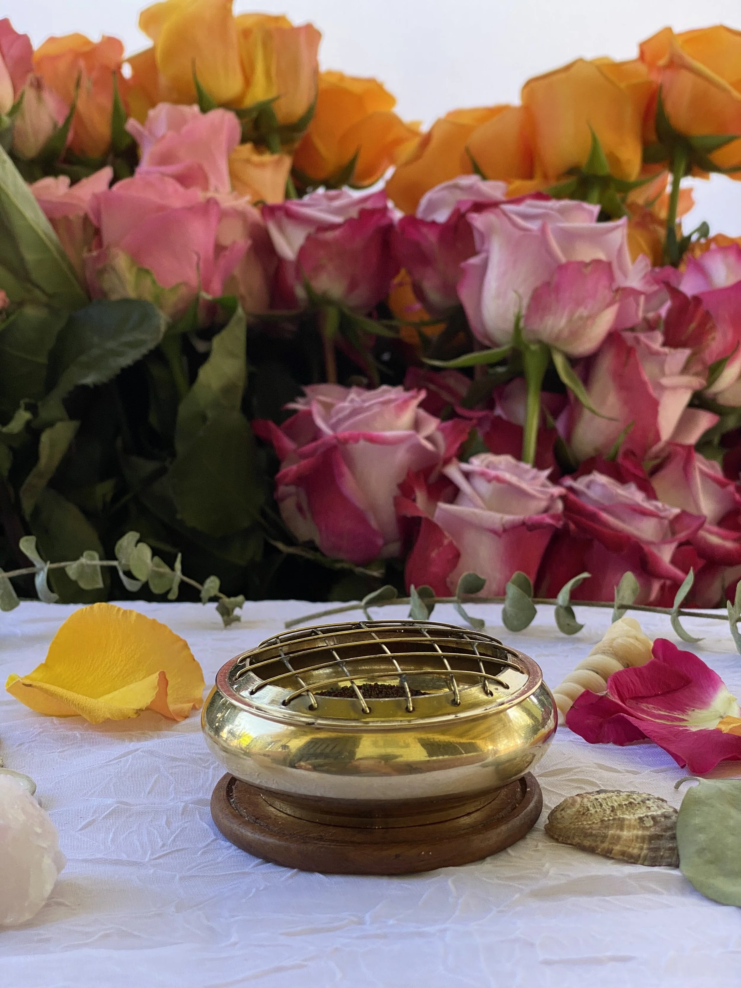 D32D66FA-E745-44C4-888F-82C258F13E55