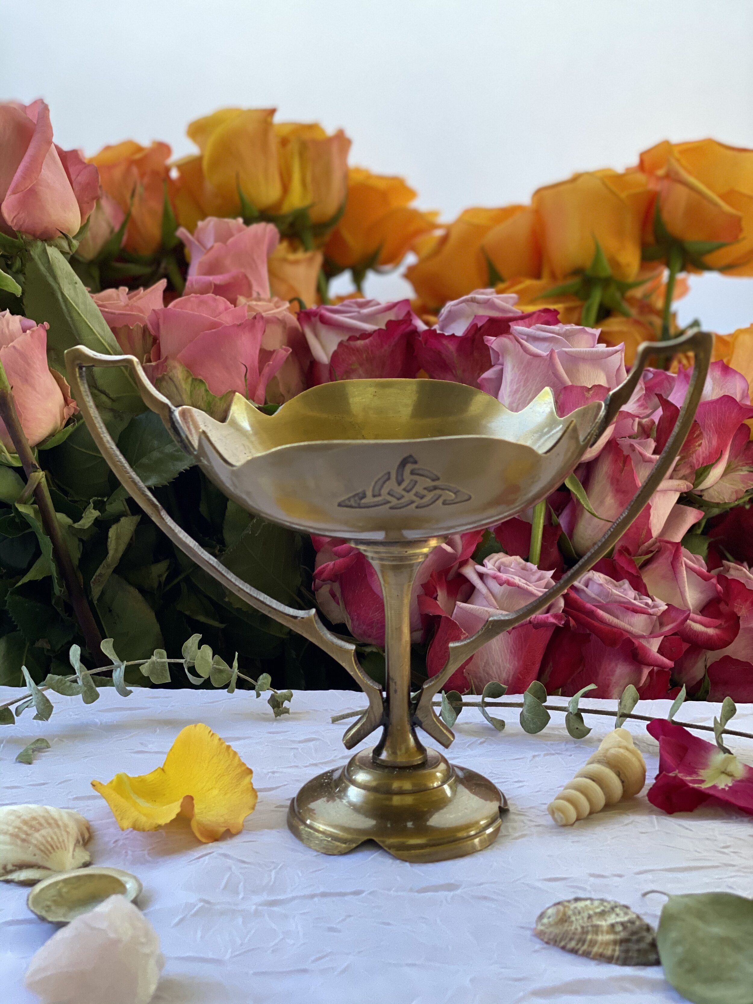 A1E1FFE4-6C95-4A75-99D6-31E06D5834F0