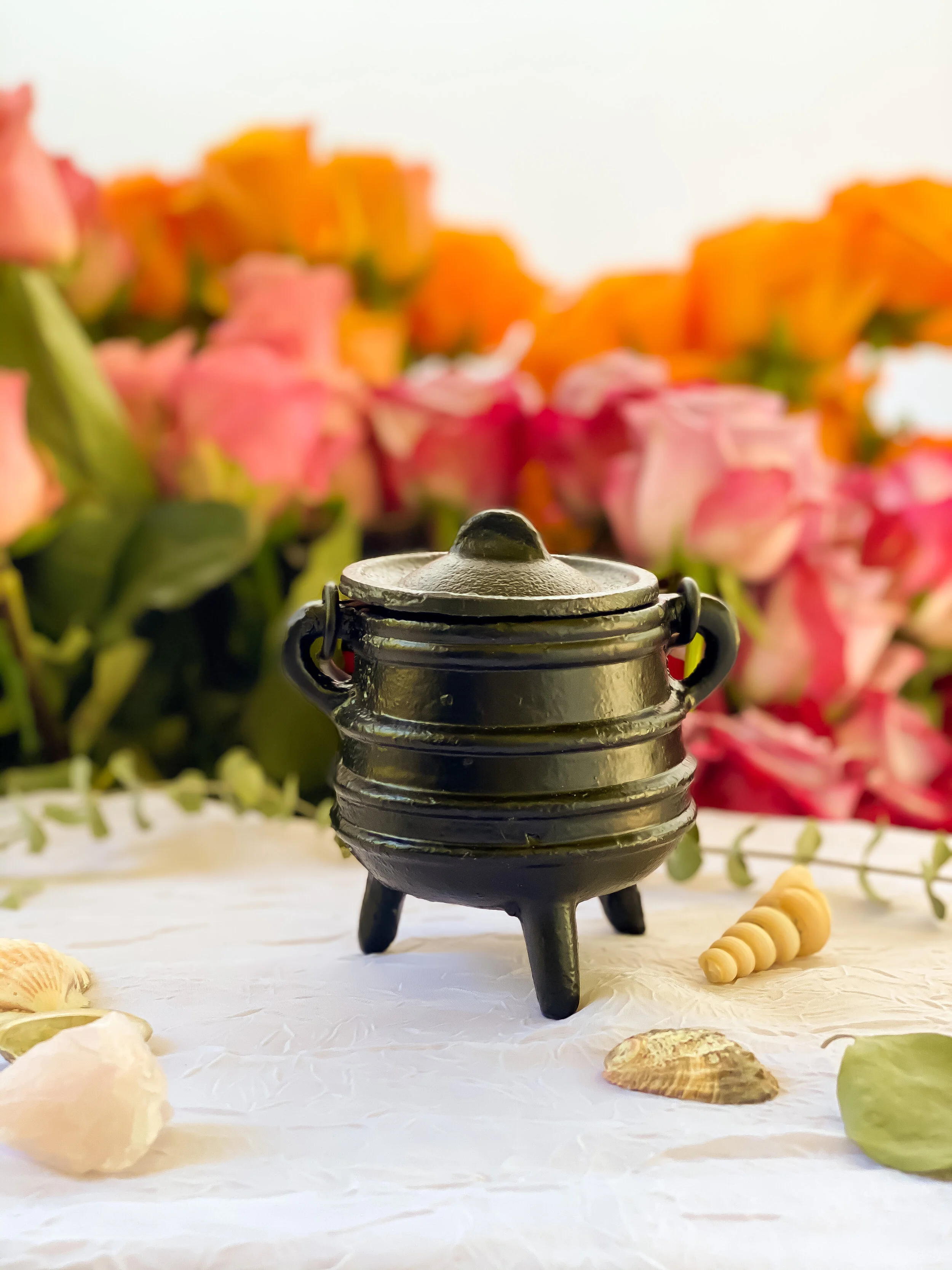 E11E479B-922E-470A-A067-081504F90796