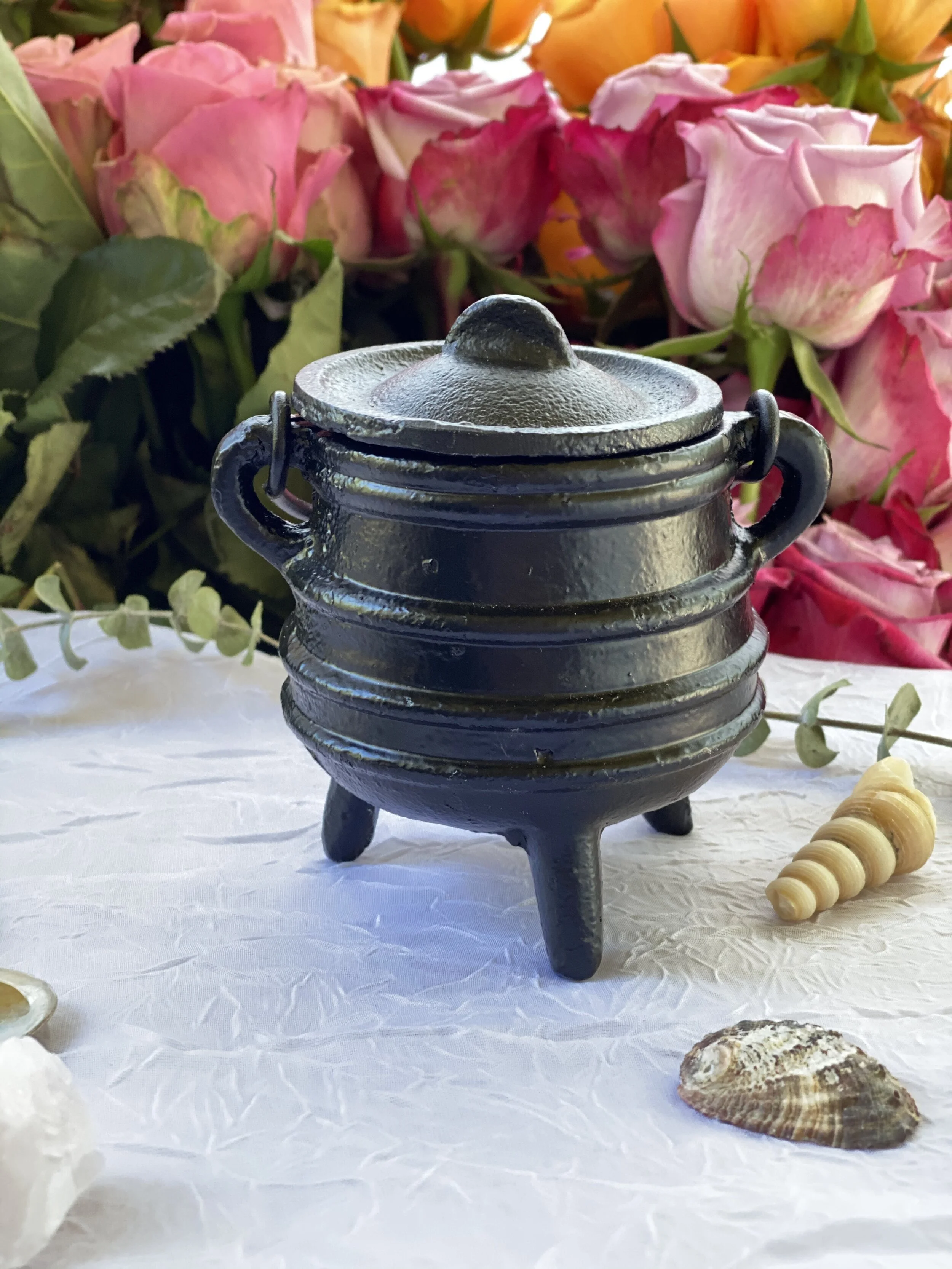 4157262A-B699-4665-9A05-C40643148B9D