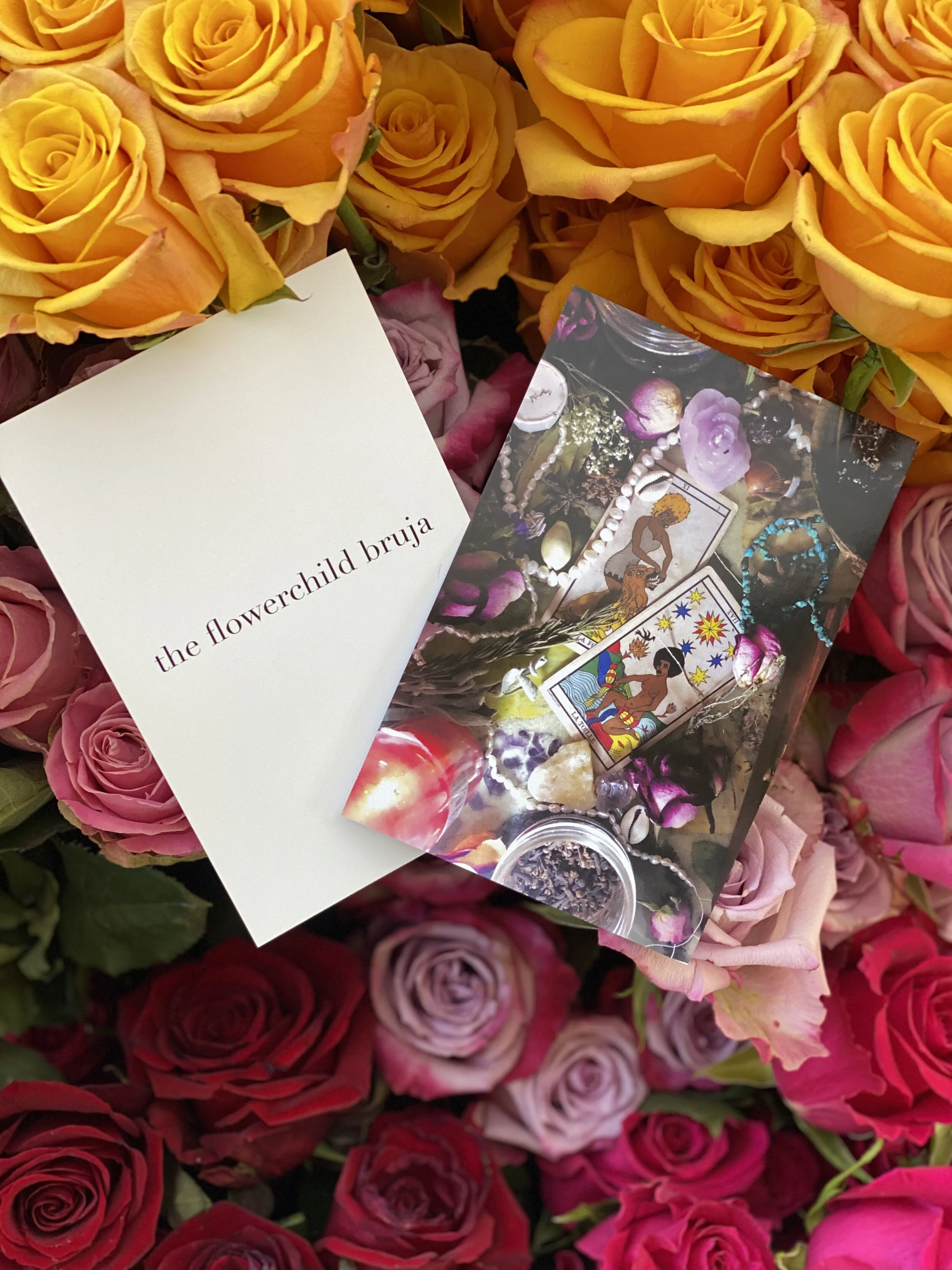 CED91EC9-E3E9-4D7F-ABAA-5CF7D9DE2109