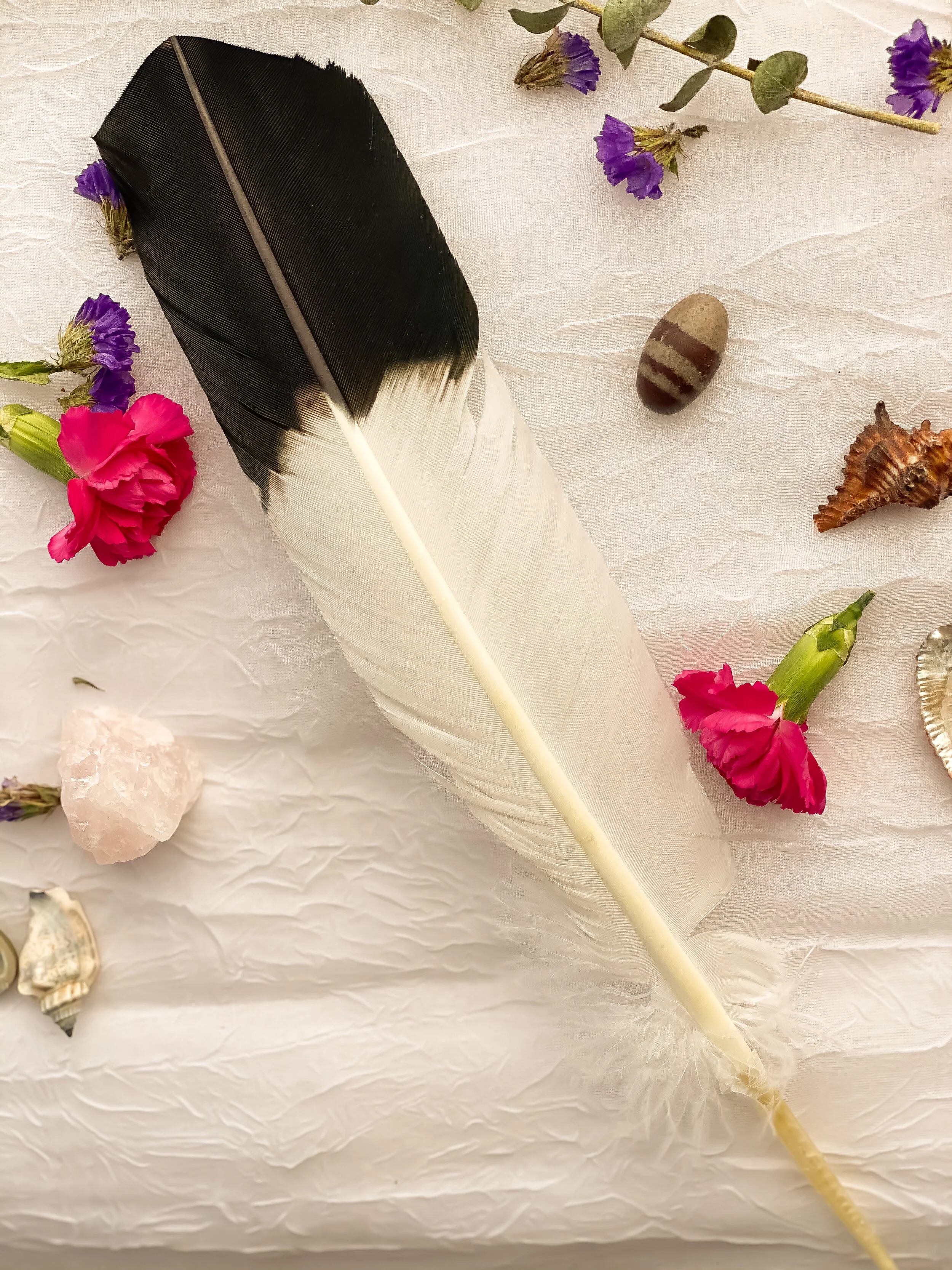 77624FD8-AEF8-4127-B882-EDB42C61BC7B