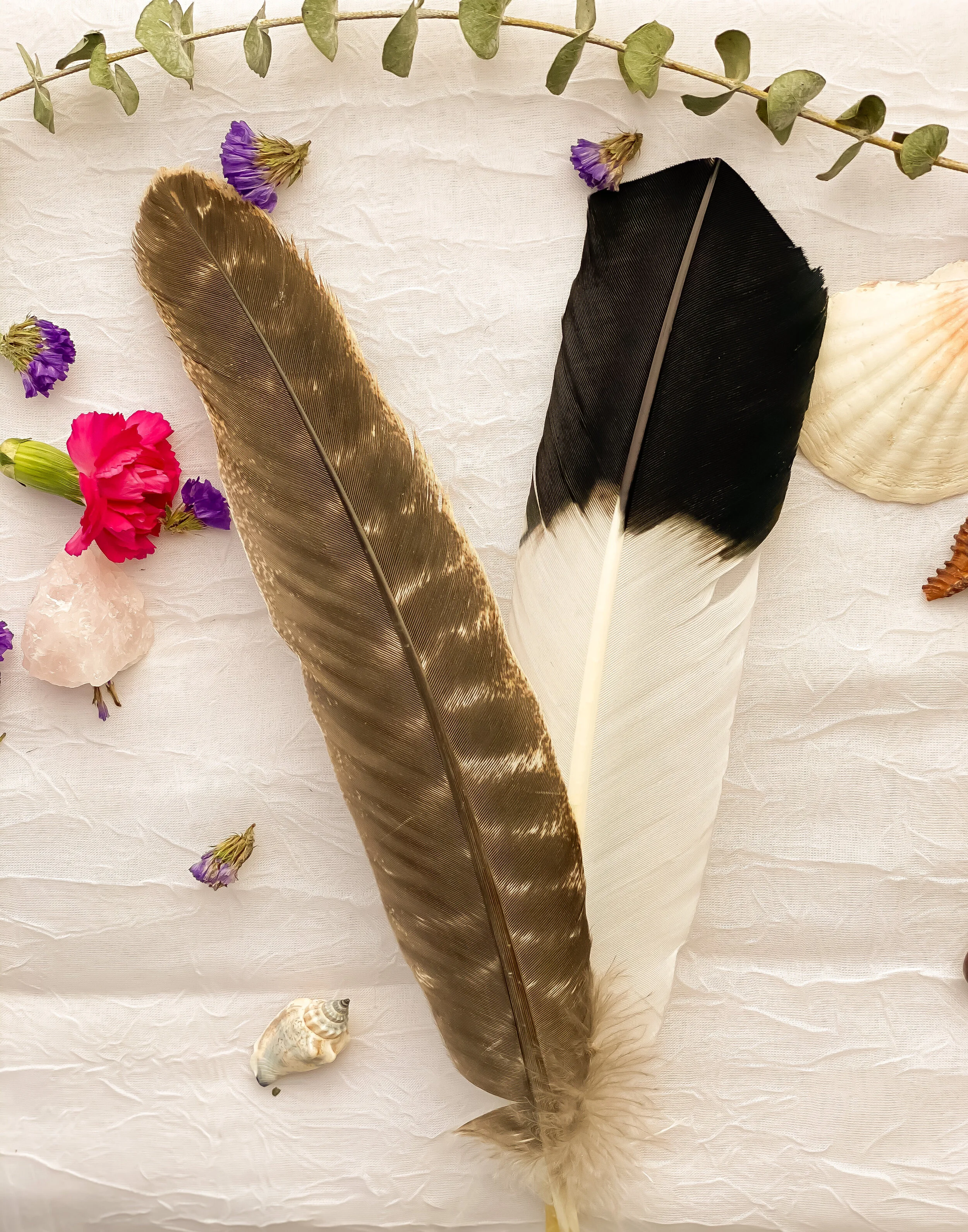 E5DAF1BF-1A29-444B-8771-38C148CE3A3B