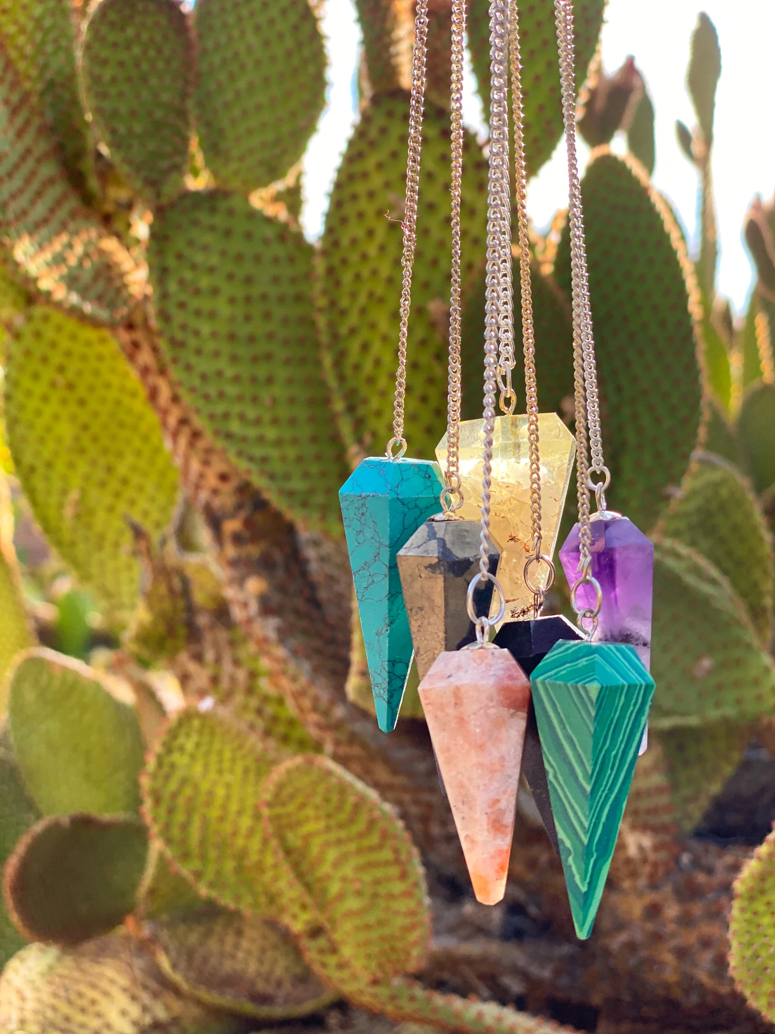 4B9EA46C-CA7B-404F-8B06-DBA358F1EB7F