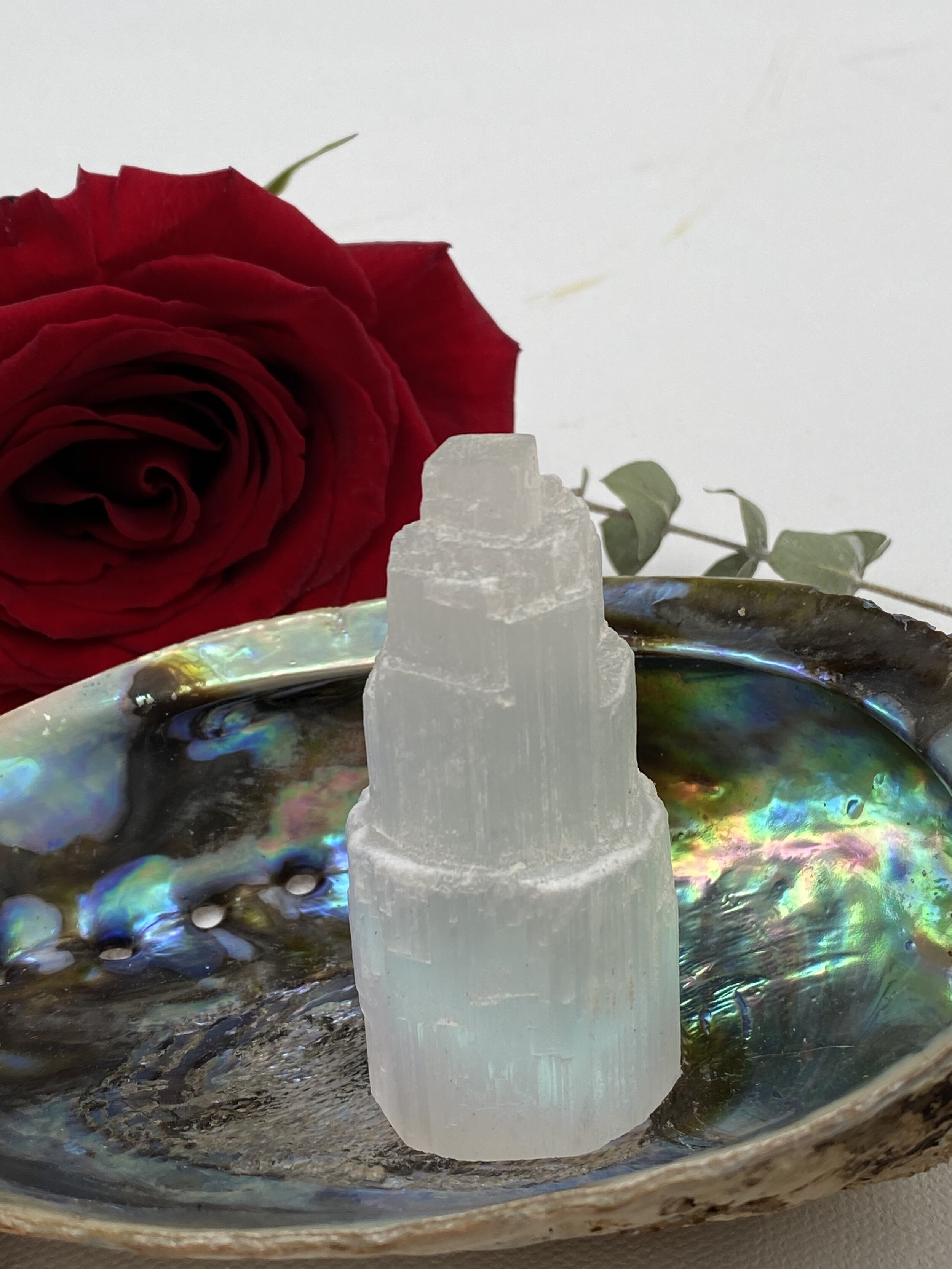 B77B2811-38FF-4875-8C40-03C578B53409