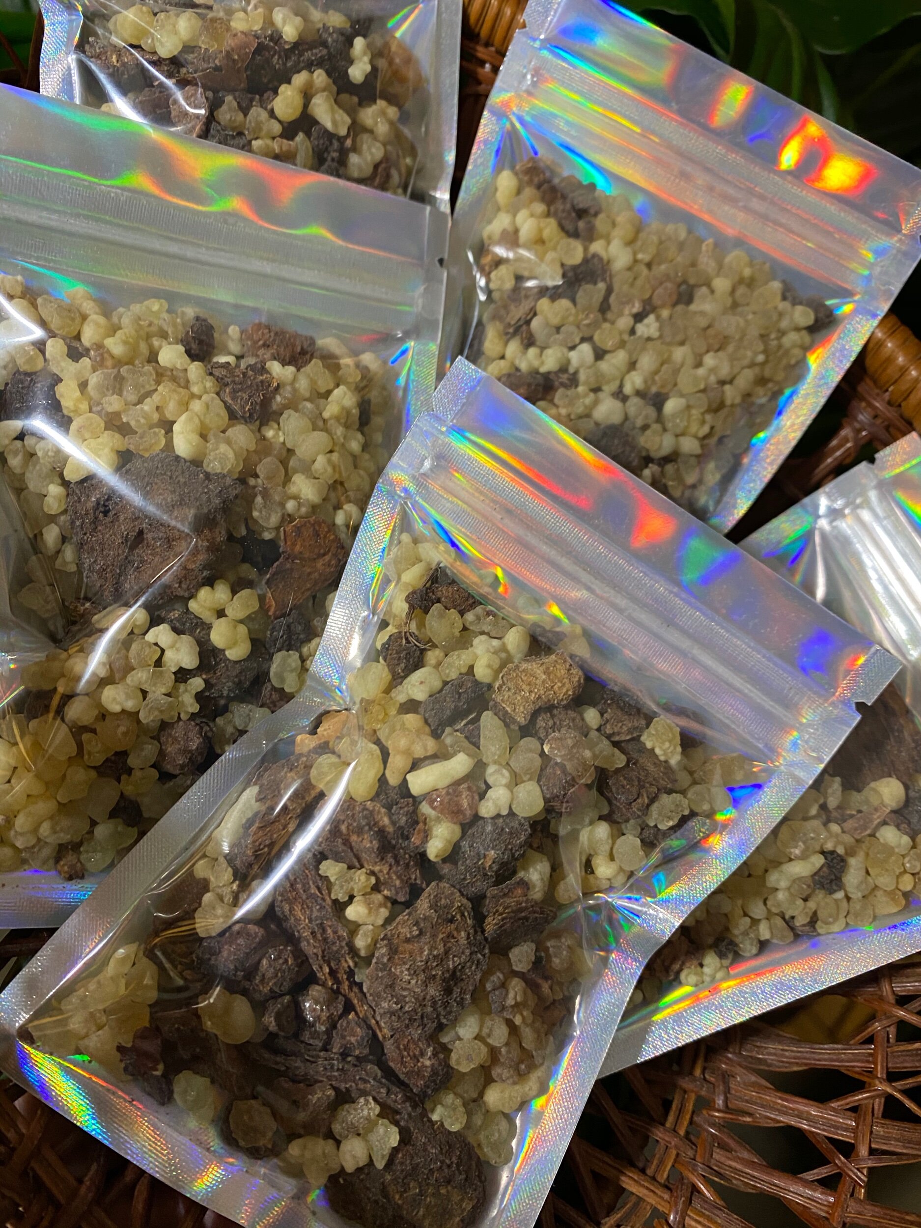 E9E53338-7E2F-4026-96EC-2459E23D58D1