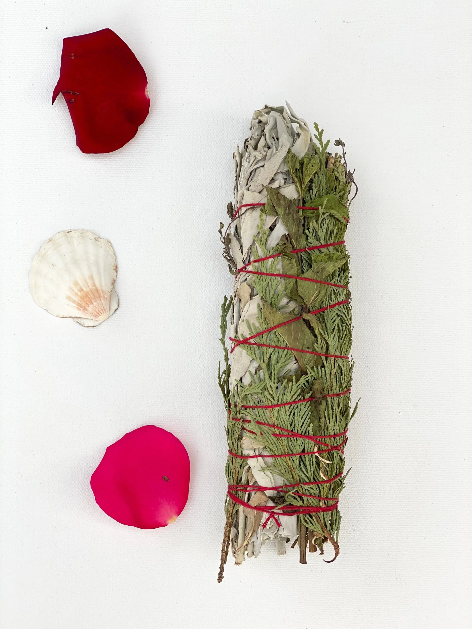 11AC8ADE-C214-4B31-941F-5AE89F4569F5