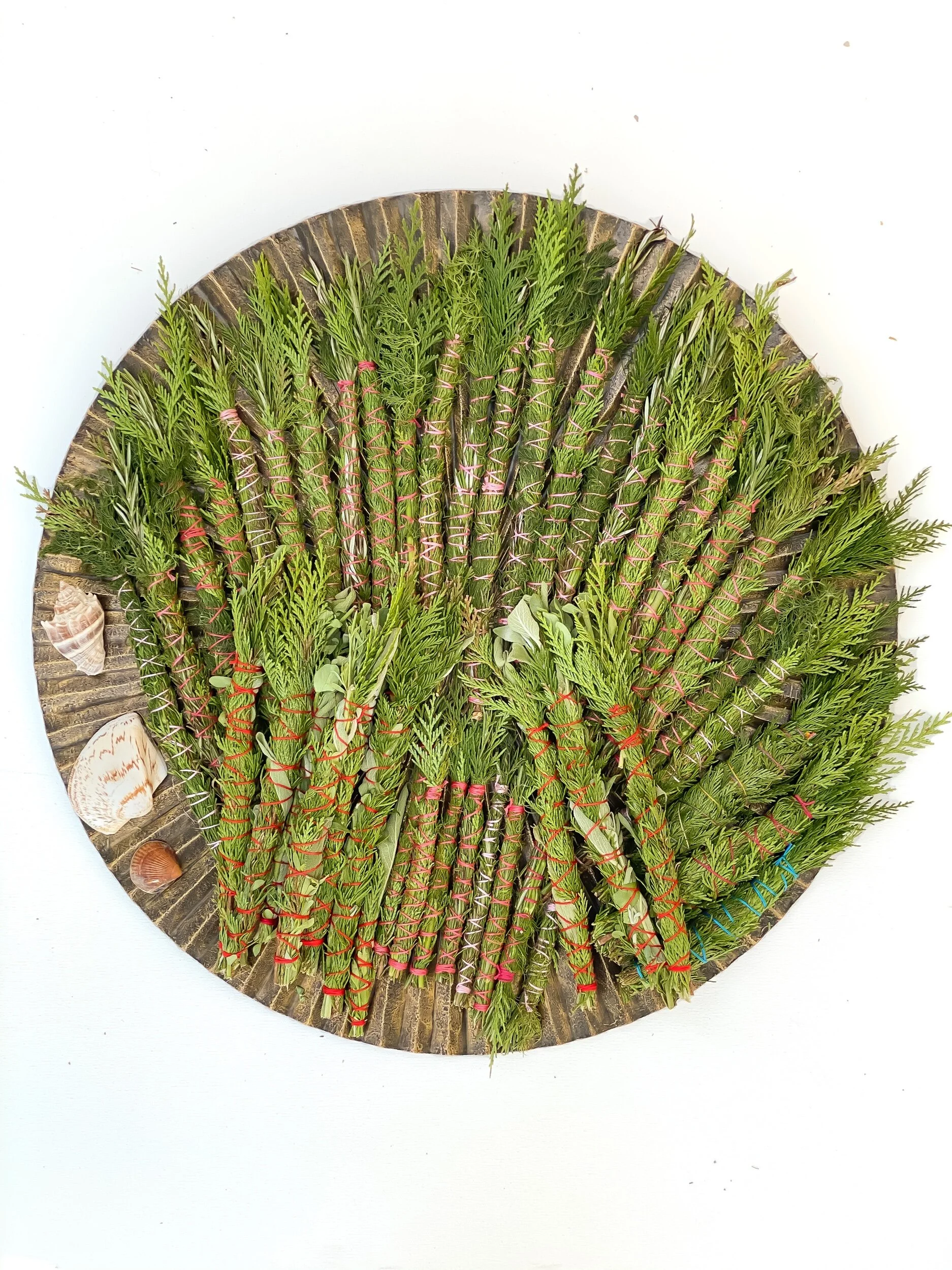 1CF838DB-B050-4D1C-9C70-DAC44ECB33EC