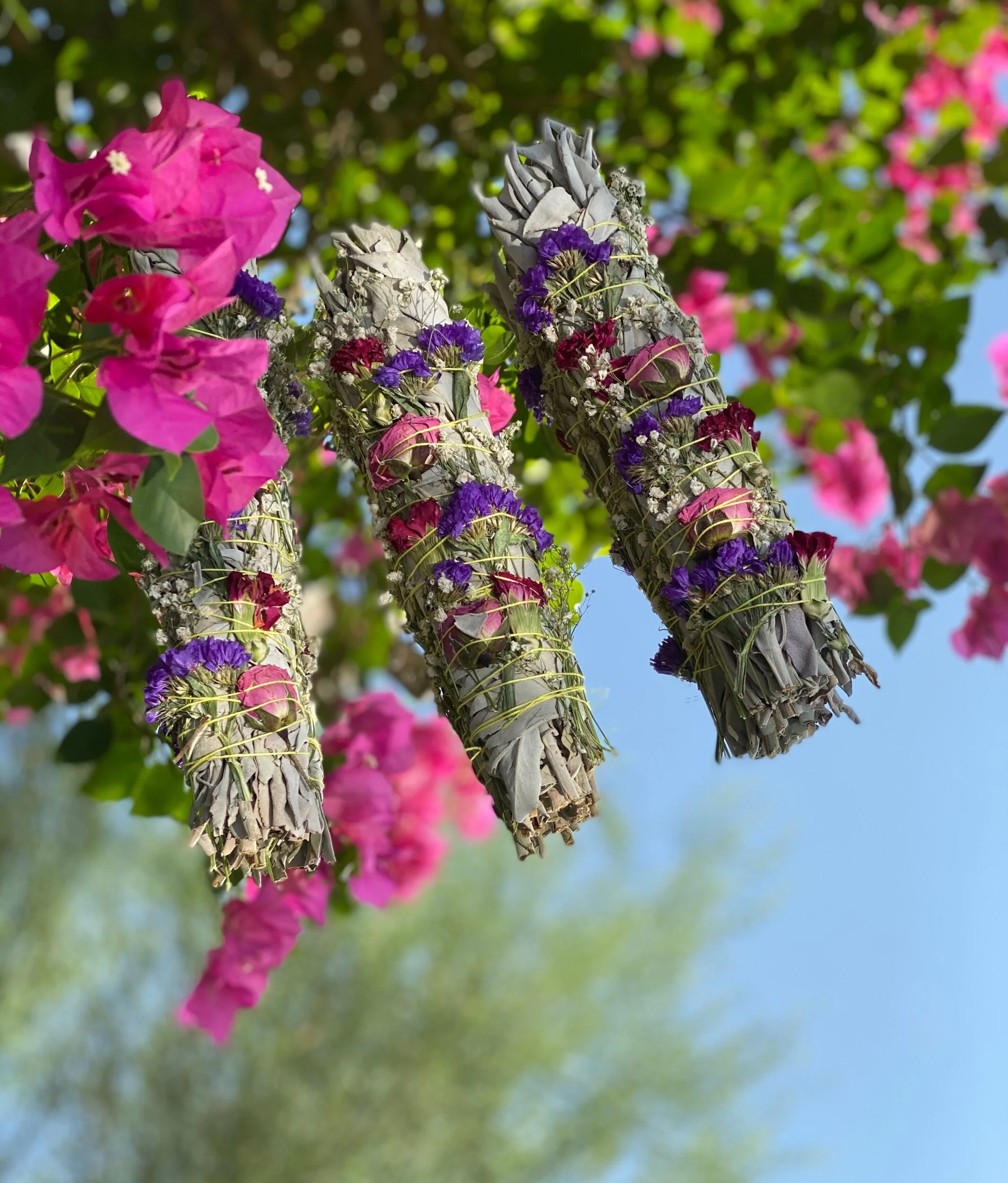 D6CC277A-A94C-49DA-B730-8165FC13CCC8