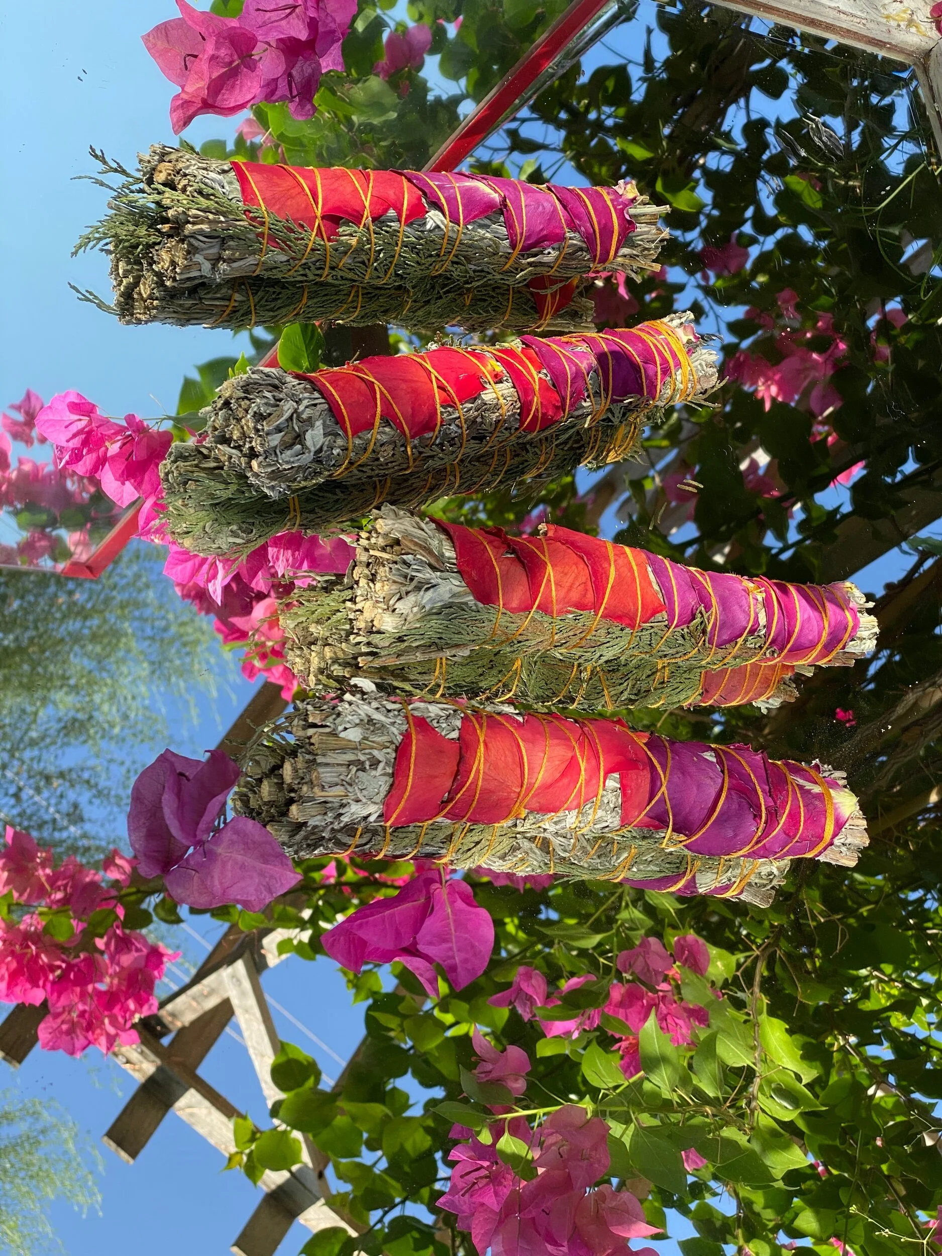 D4F86407-6696-4749-A53C-D913686C17E4