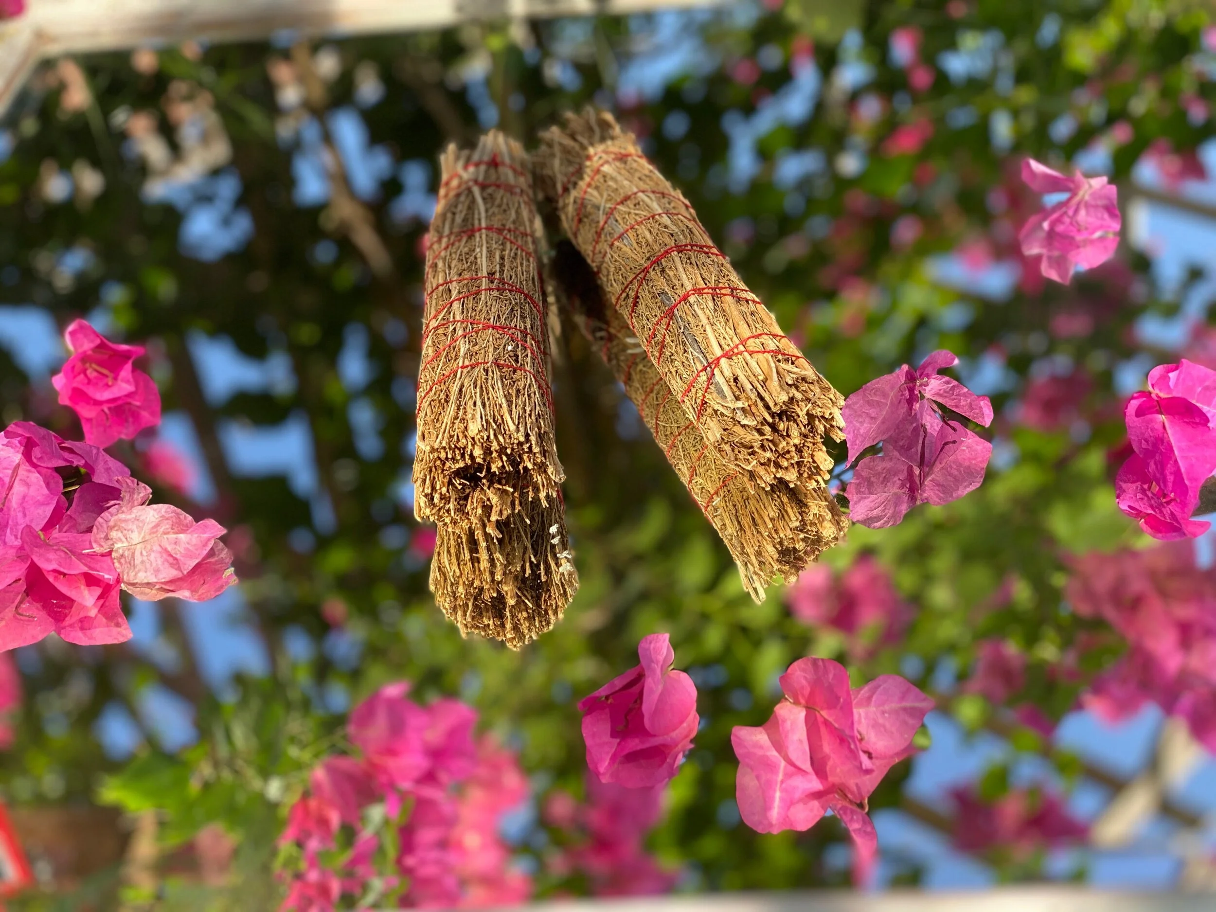 53EE070C-2C2B-4CC9-8545-4725C9201E9A