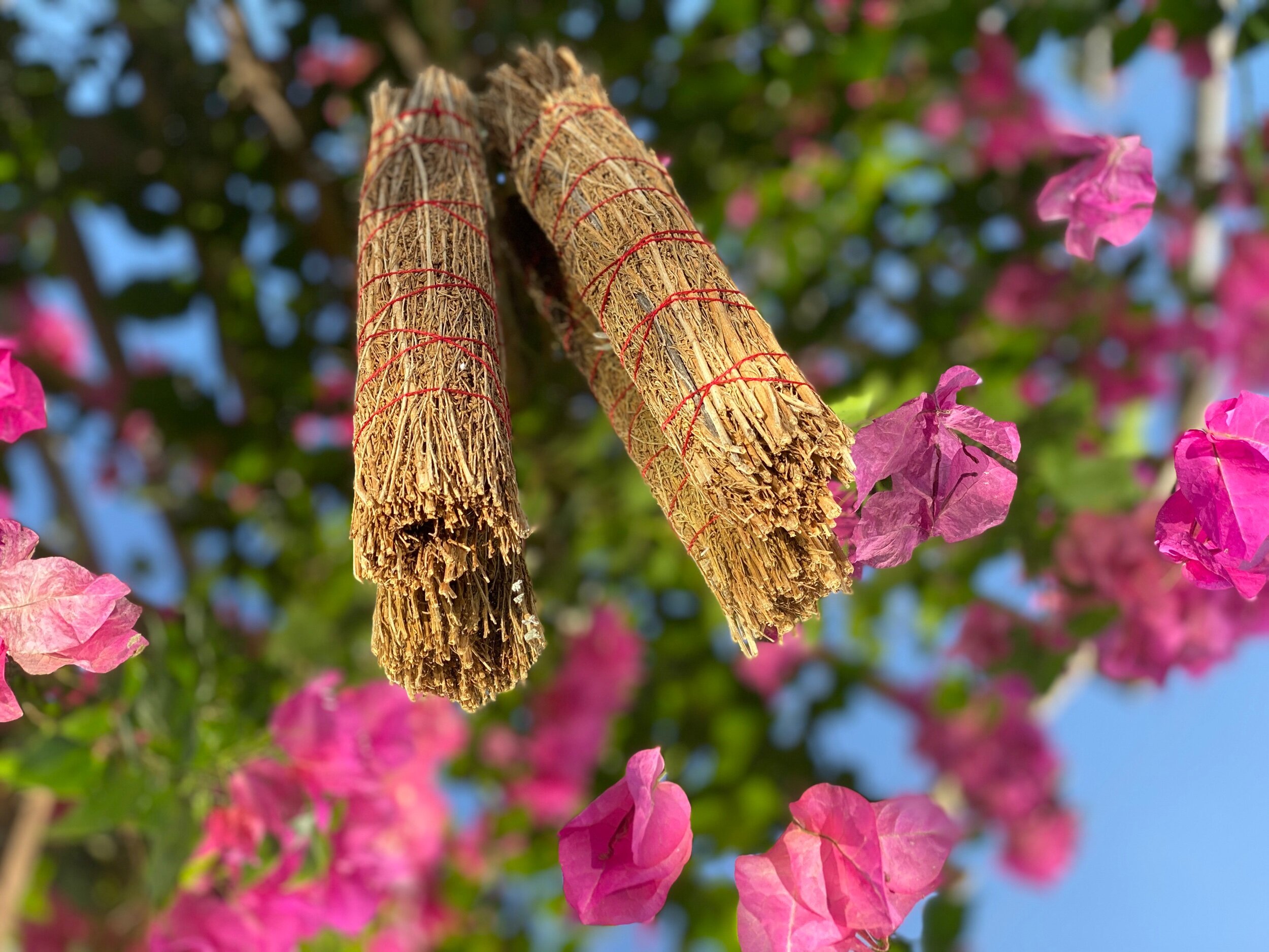 desert magick sage | sacred smoke wand 