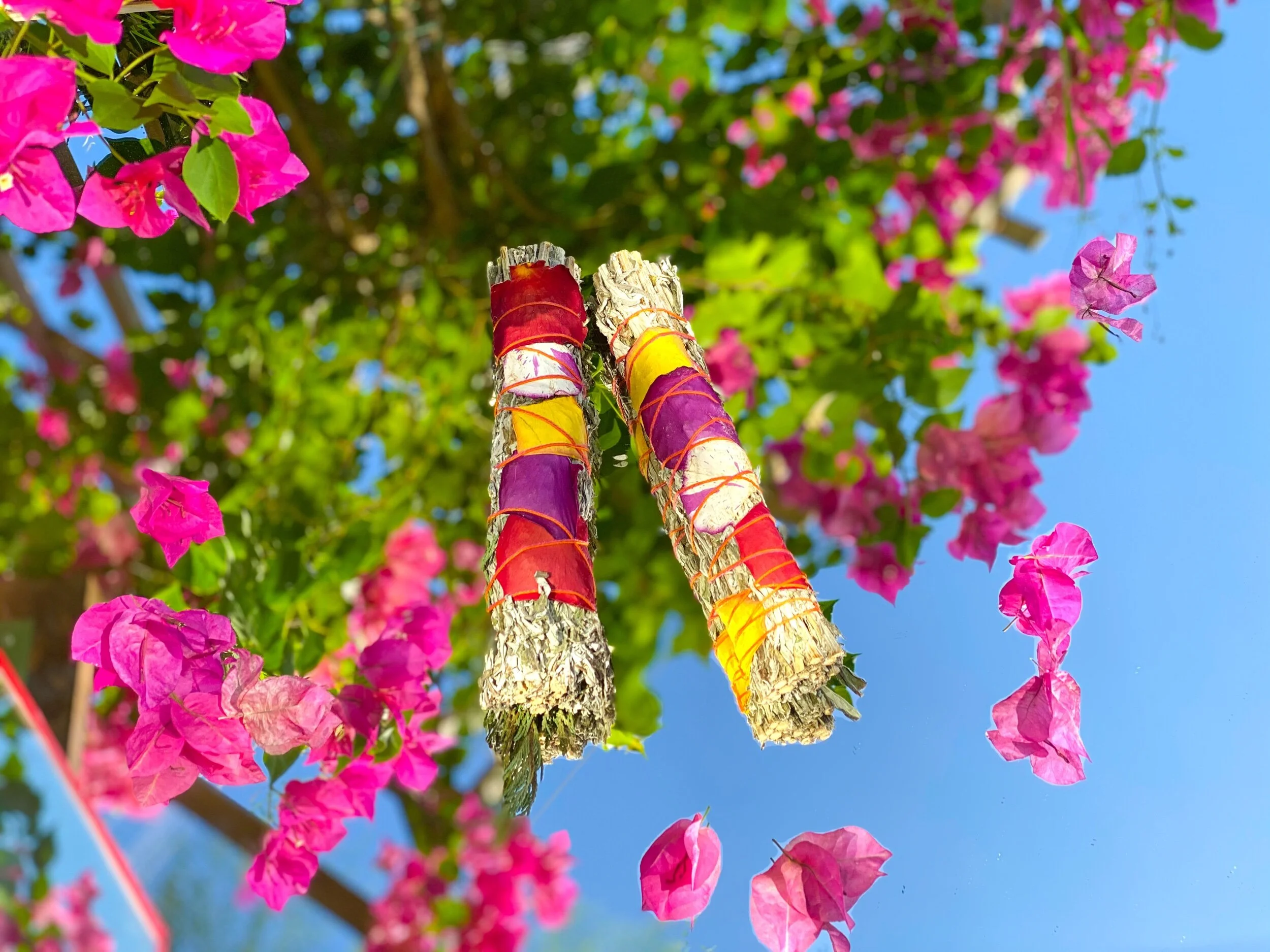 7FBCFD7D-D782-4E33-A27A-5CEF4B471F55