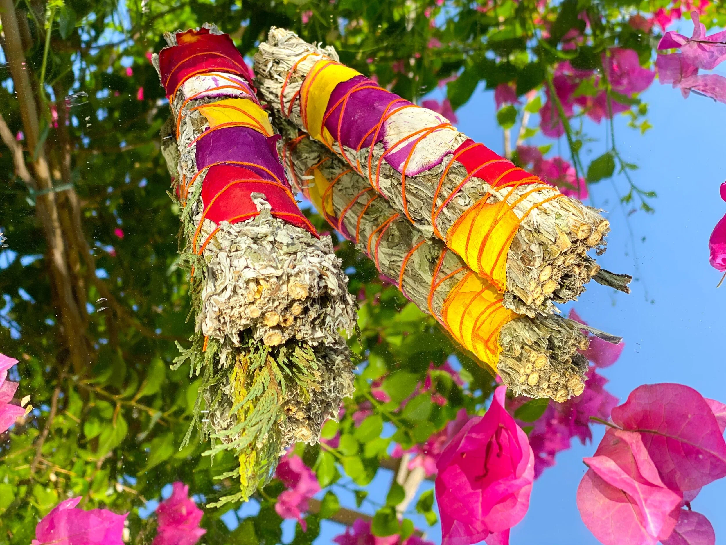 4EFA9026-AF9C-4070-8648-0FD0D3CBD66D