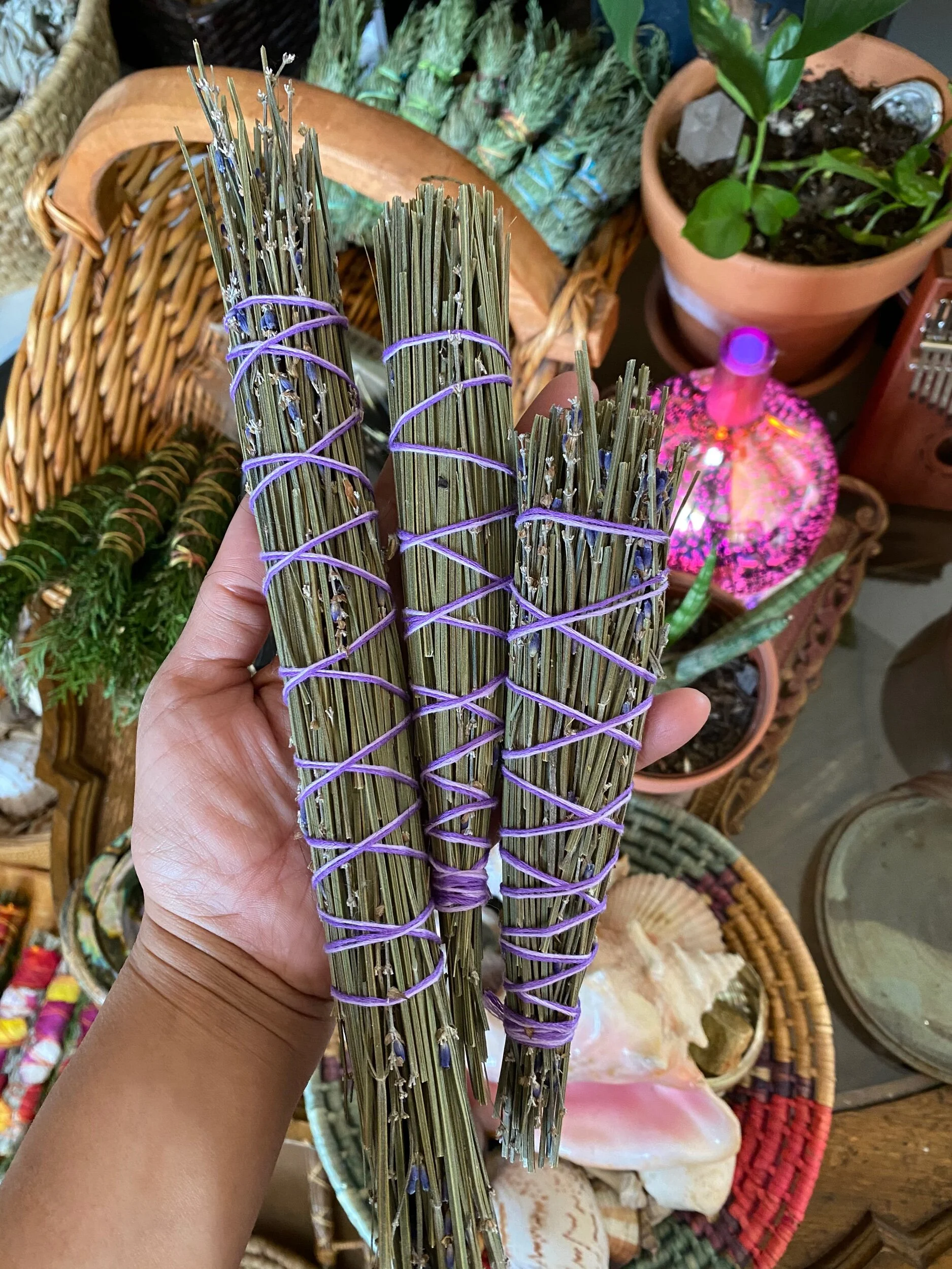 69DDA9B5-9251-46BB-8656-257581038019