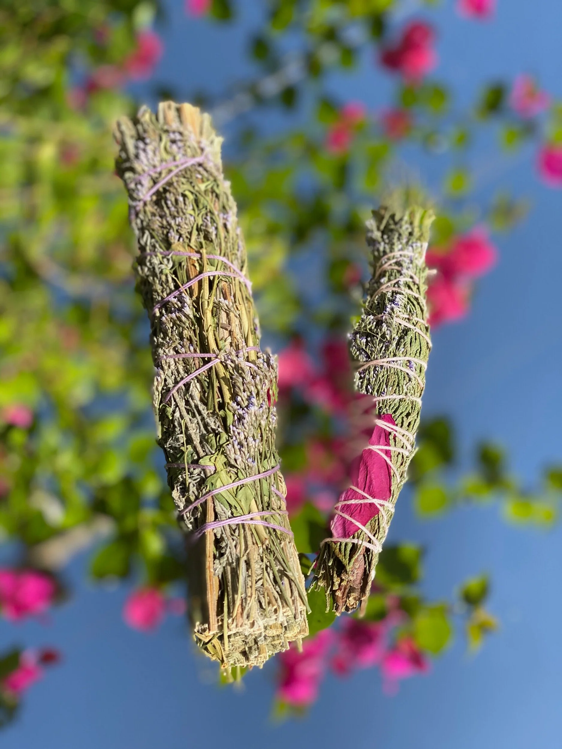 EBCE4208-8142-4D30-9463-3D2E8A67836C