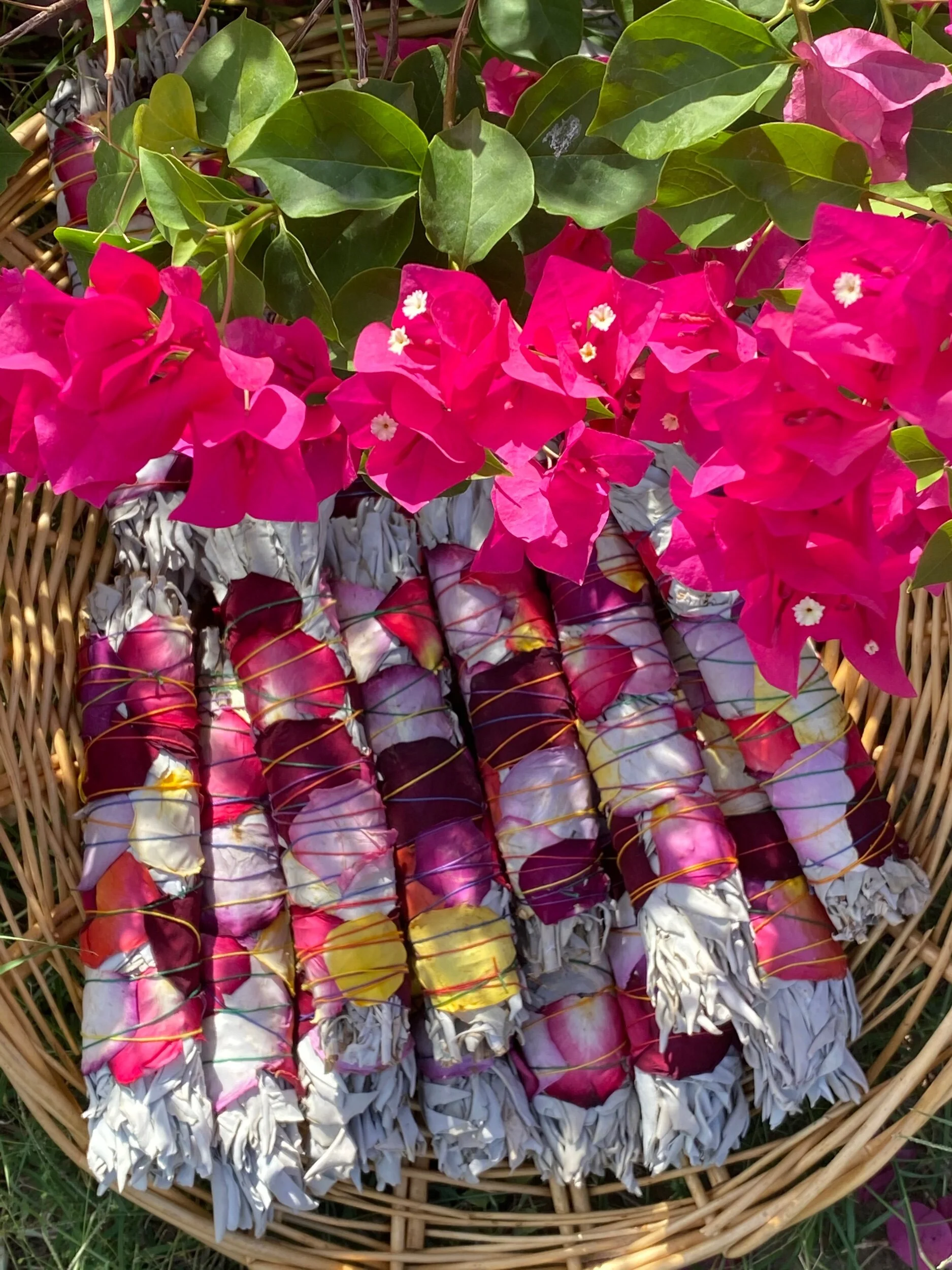 E377C52E-6C50-440D-8E68-7173703A726B