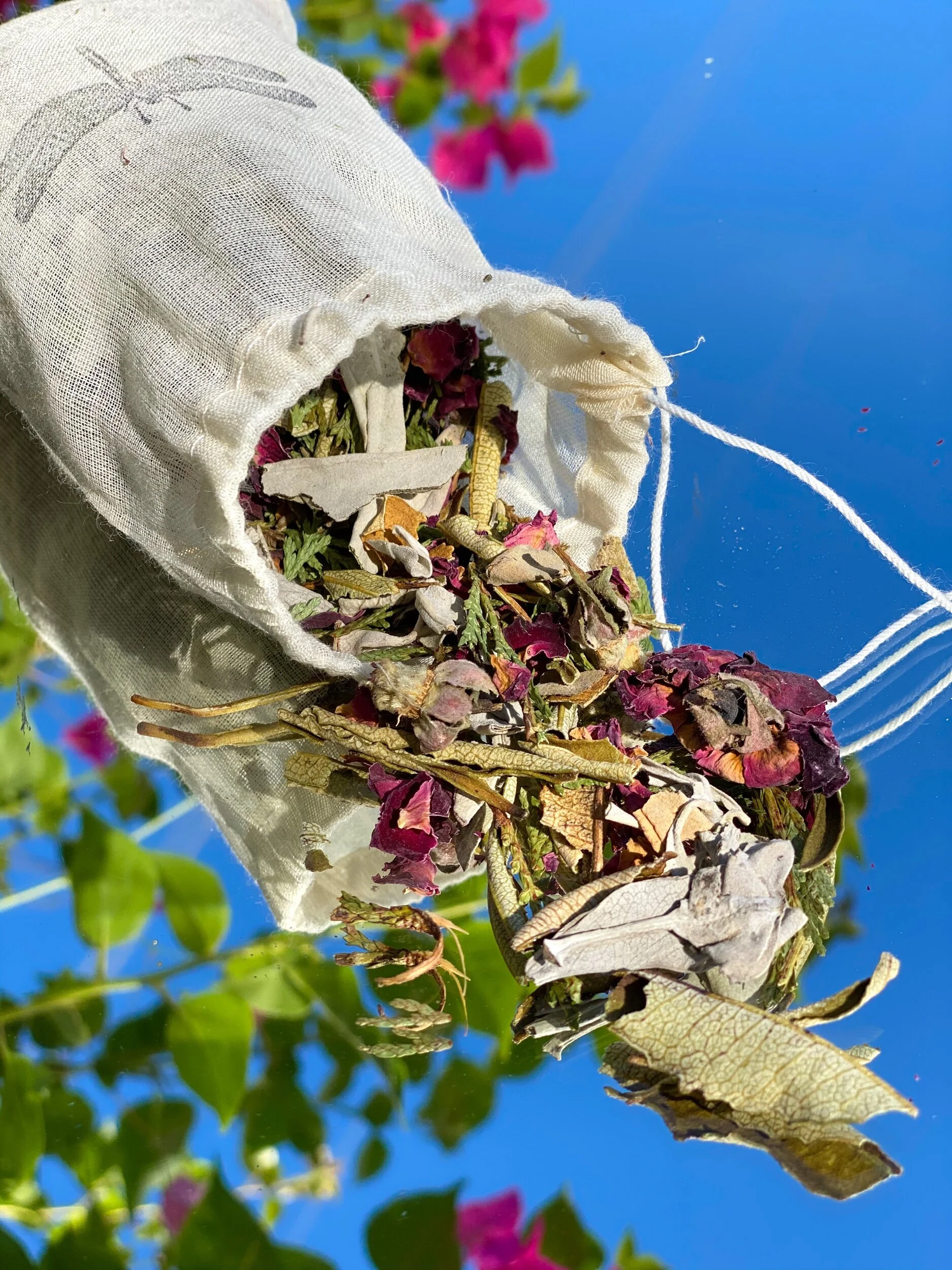 21608BBB-F4F1-4E76-98E8-B60DE1F639B4