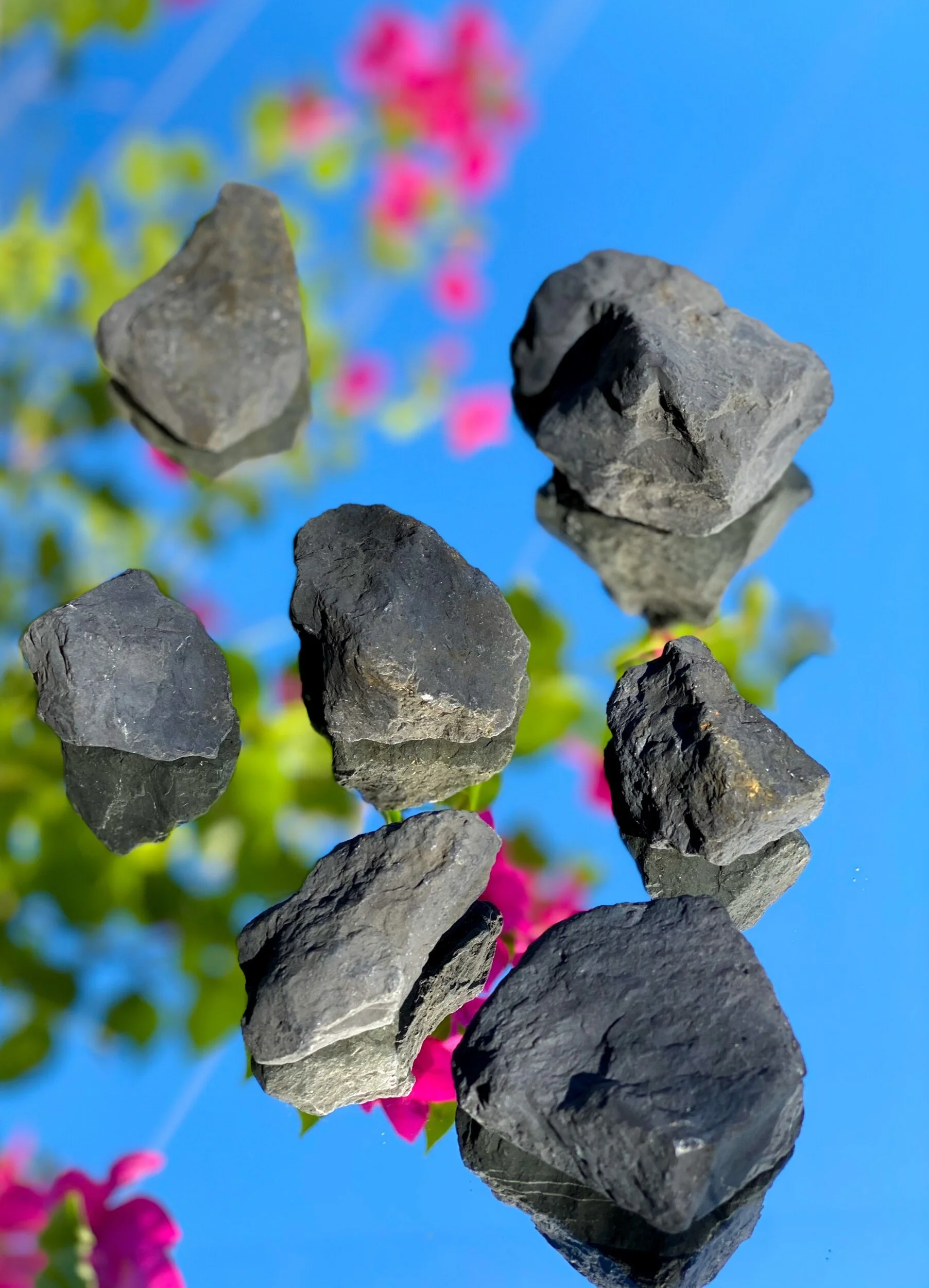 14CB3EA8-C651-4230-9B7C-4226E764590A