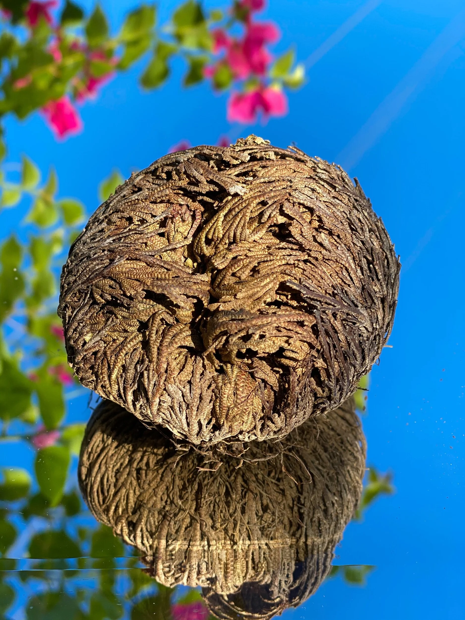 71DCC9B4-8244-49DF-A4A7-72ECA3209F76