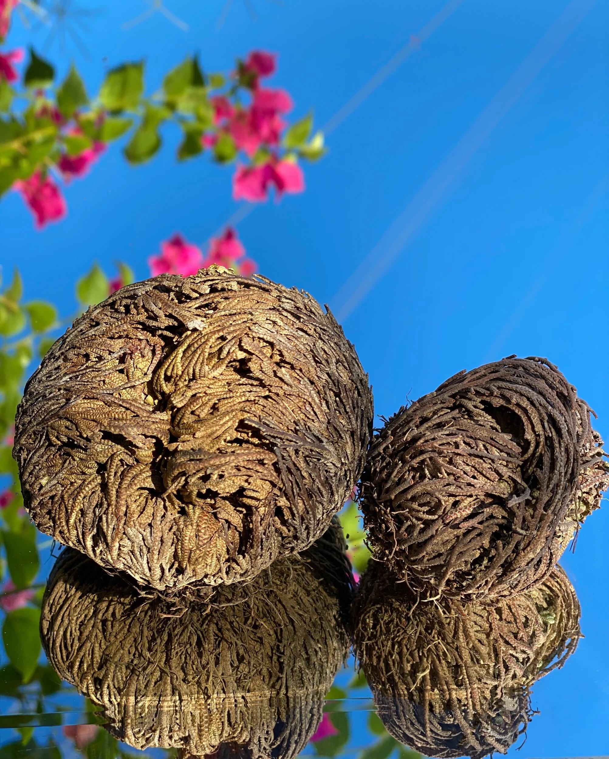 86E7DE93-E159-45BE-AA46-24C2734E48B1