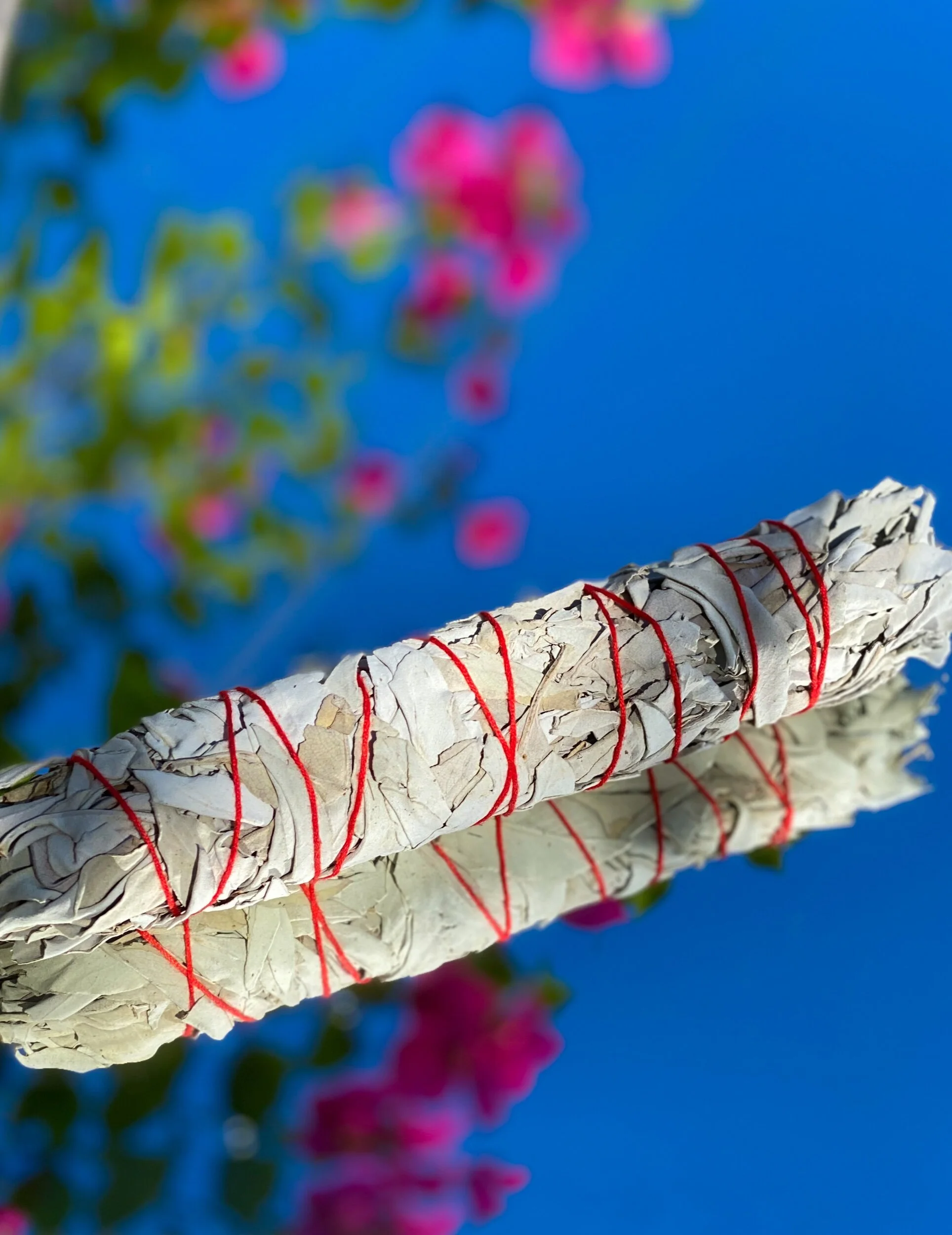 76131805-34E4-45CC-A660-90BA8852B2F5