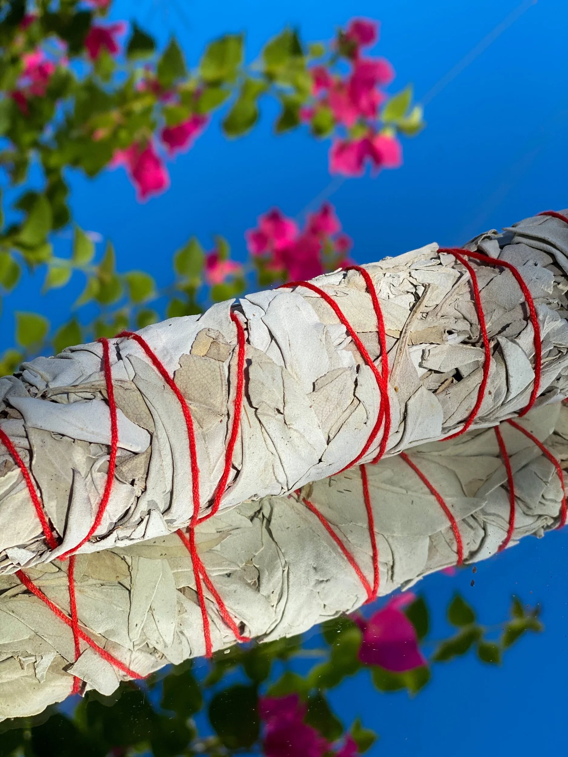 E2160E8C-276A-44AF-9B98-E6A2216393B6