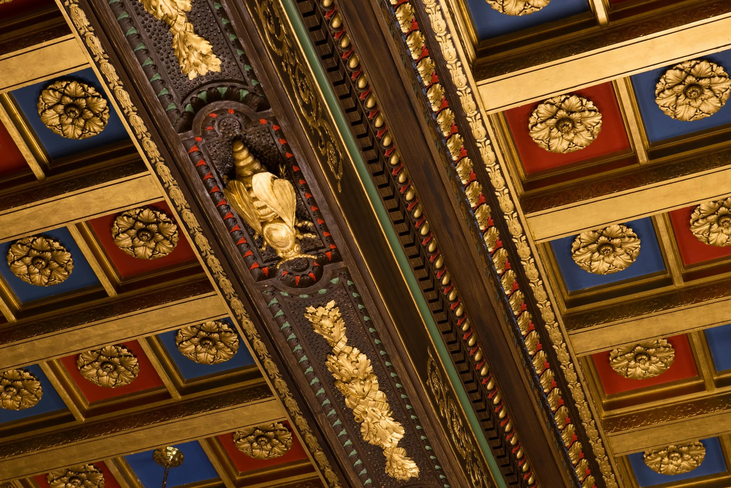 _DSC8082.jpg