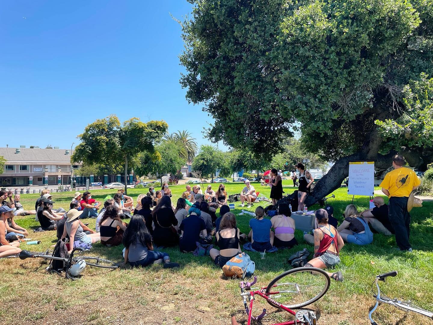 Thanks for another great volunteer training, we love y&rsquo;all. #UpTheLunch [image: a photo of a group of 50+ people sitting together on the park lawn, facing Ale as she talks to the group. Blue sky and green trees in the background with one big tr