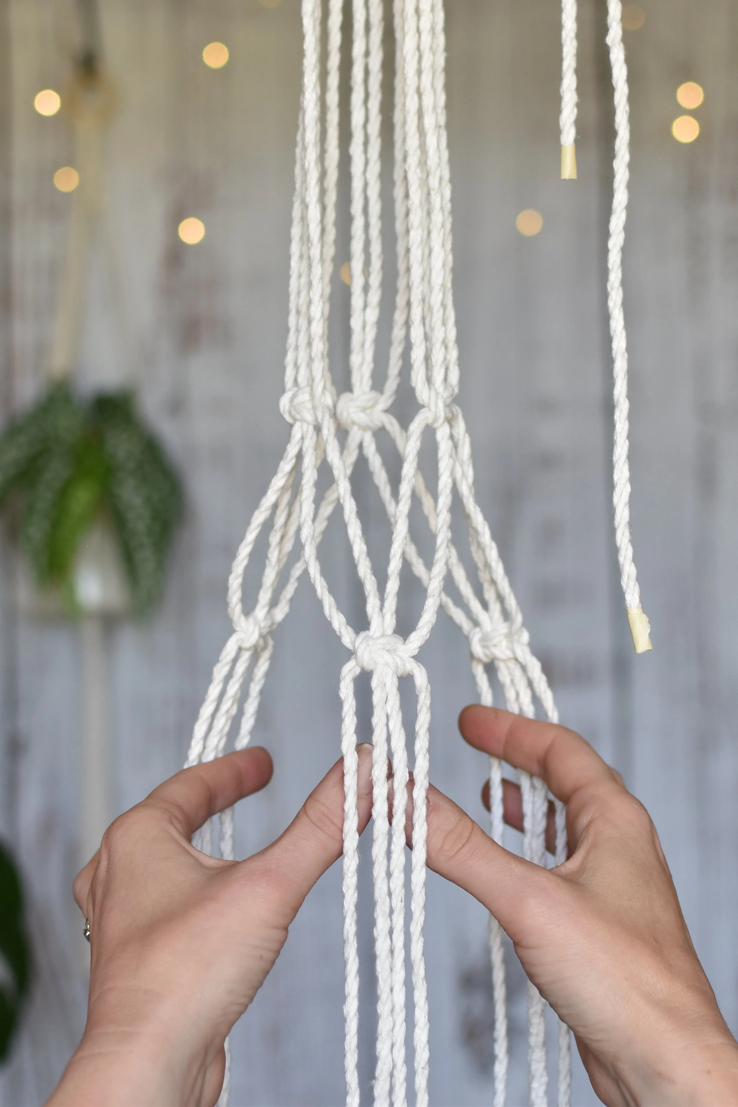 DIY Macrame Class